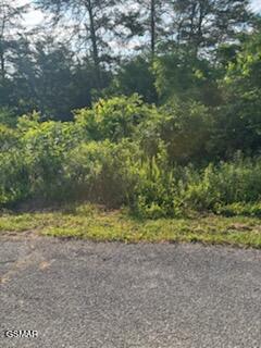 Lot 51 Mary Alice Way Sevierville TN 37876