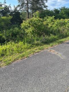 Lot 51 Mary Alice Way Sevierville TN 37876