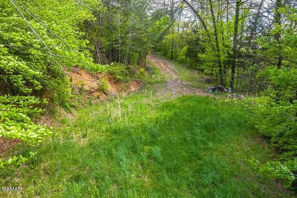 Lot 2 Caywood Road Dandridge TN 37725