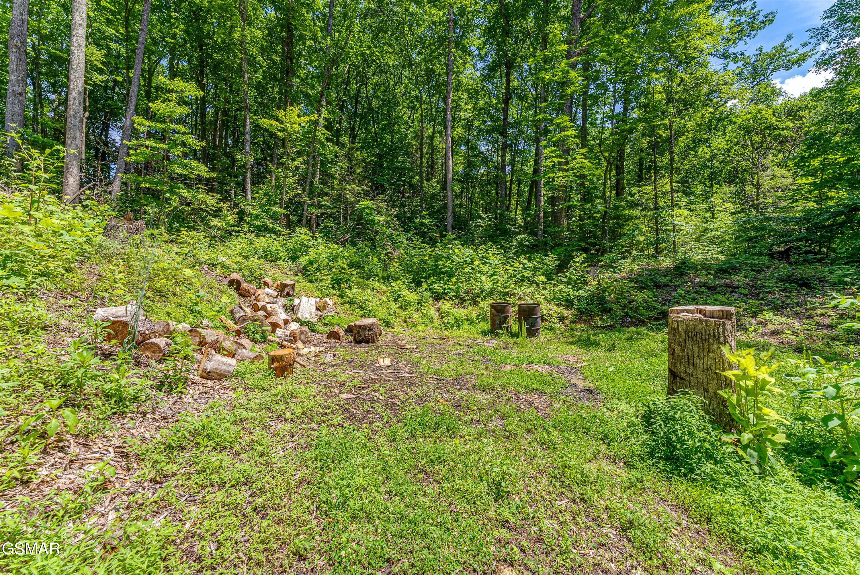 229 Sonshine Ridge Road Cosby TN 37722