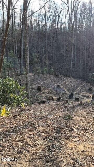 229 Sonshine Ridge Road Cosby TN 37722