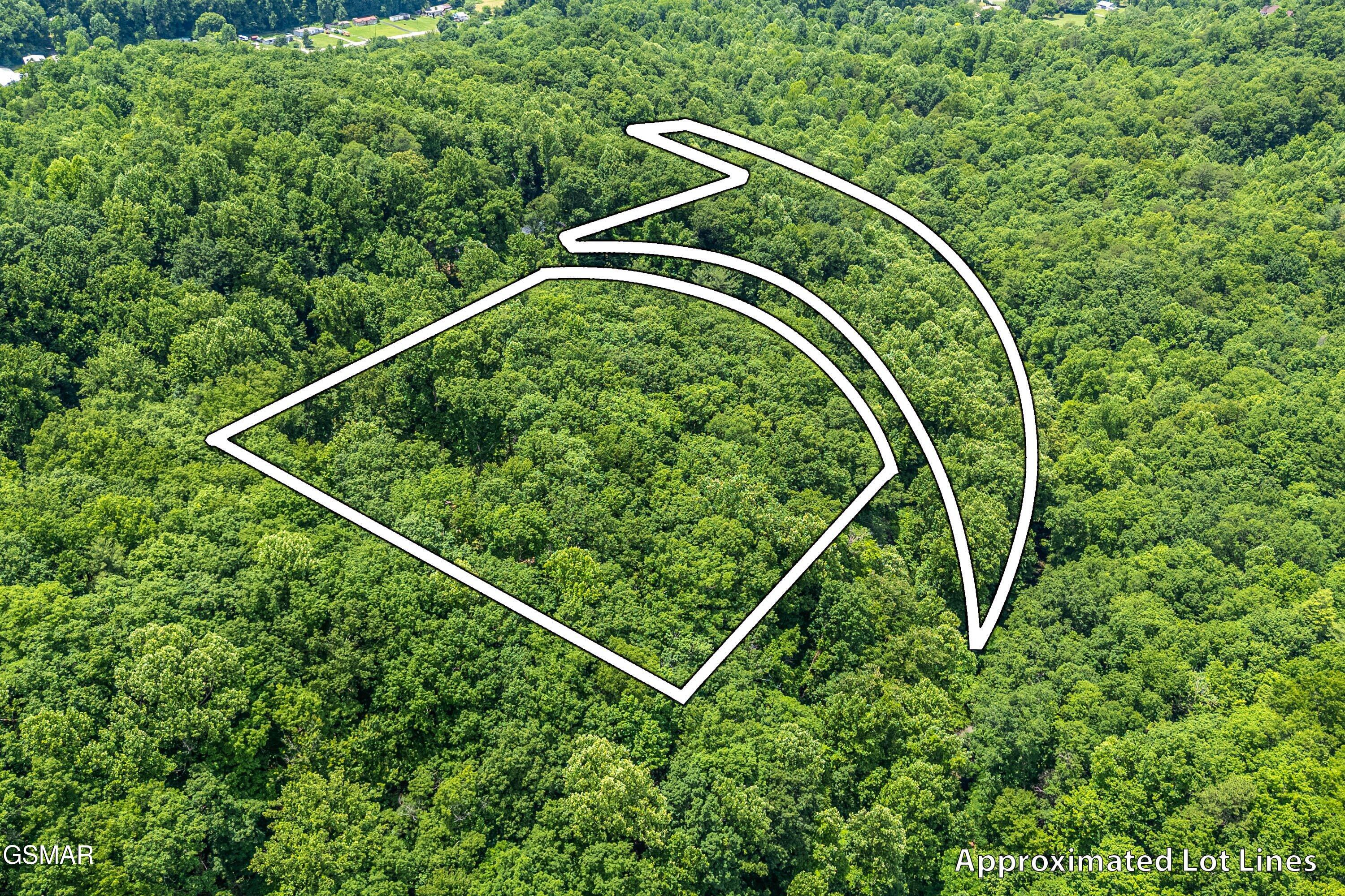 229 Sonshine Ridge Road Cosby TN 37722