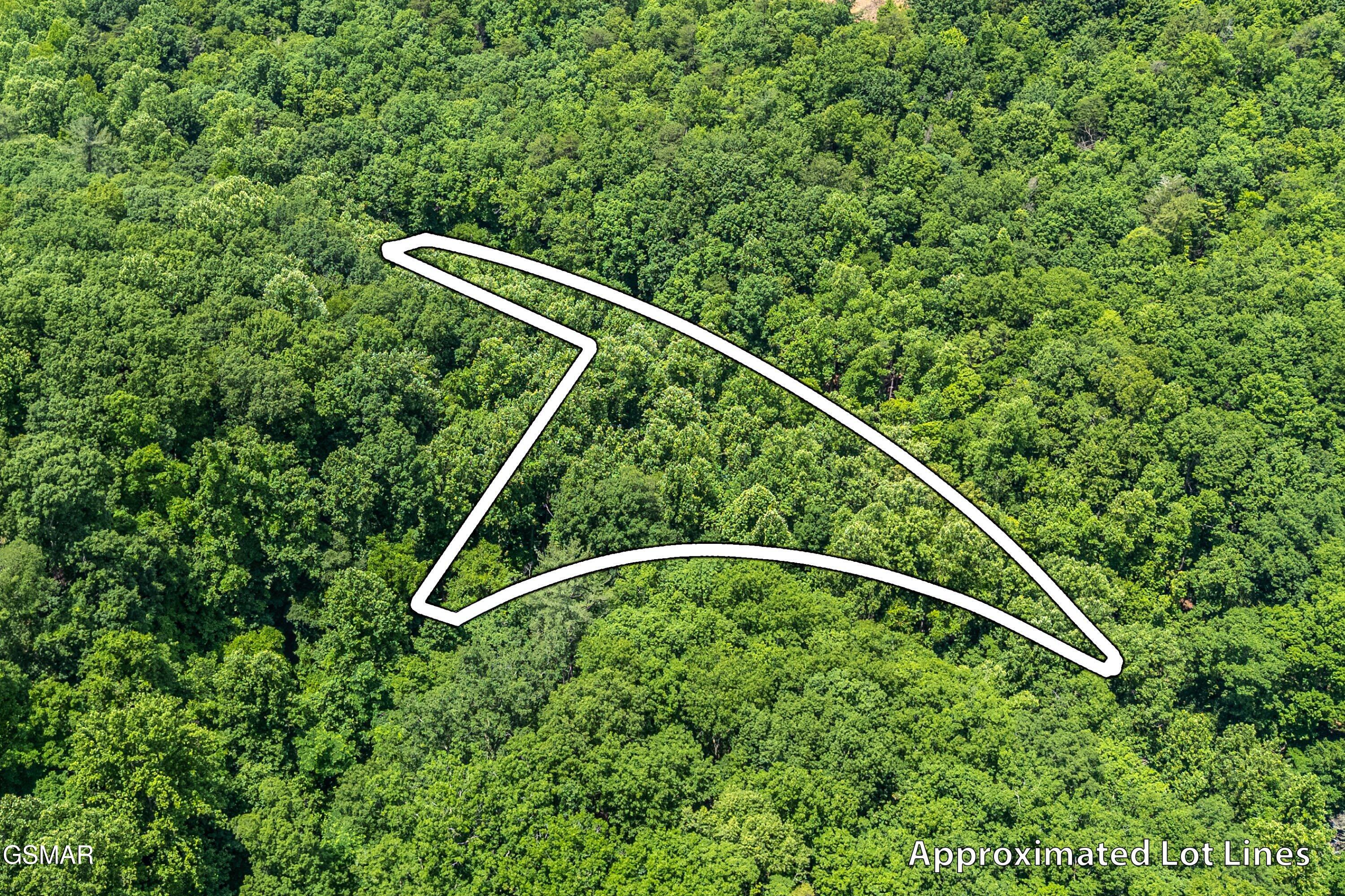 229 Sonshine Ridge Road Cosby TN 37722