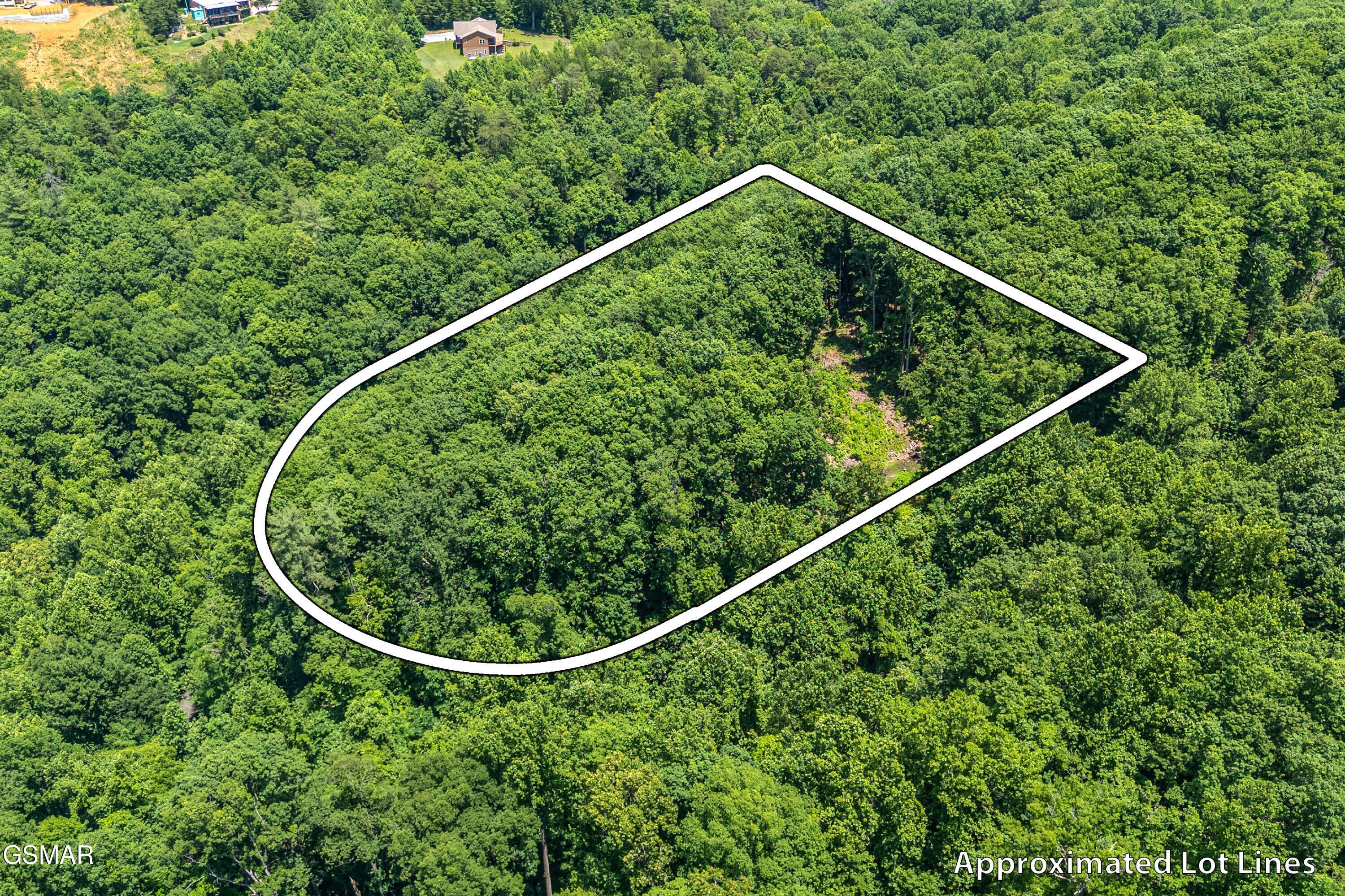 229 Sonshine Ridge Road Cosby TN 37722