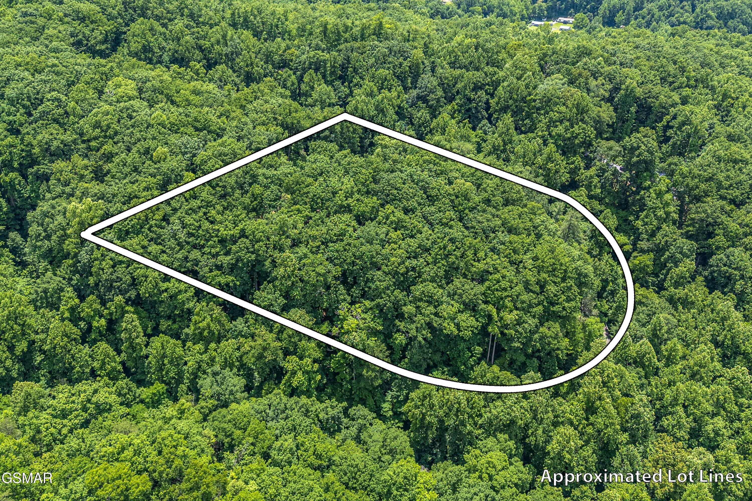 229 Sonshine Ridge Road Cosby TN 37722