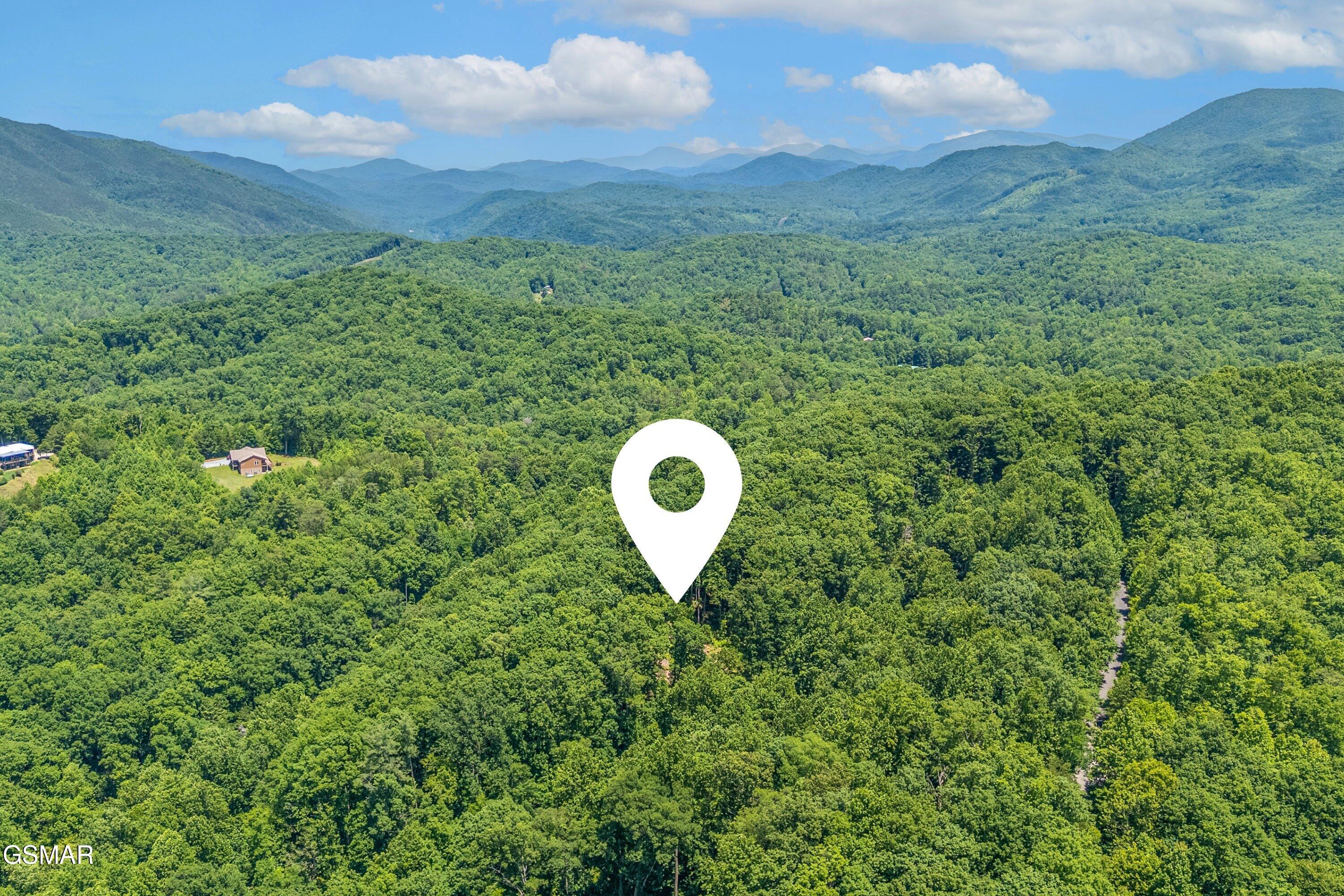 229 Sonshine Ridge Road Cosby TN 37722