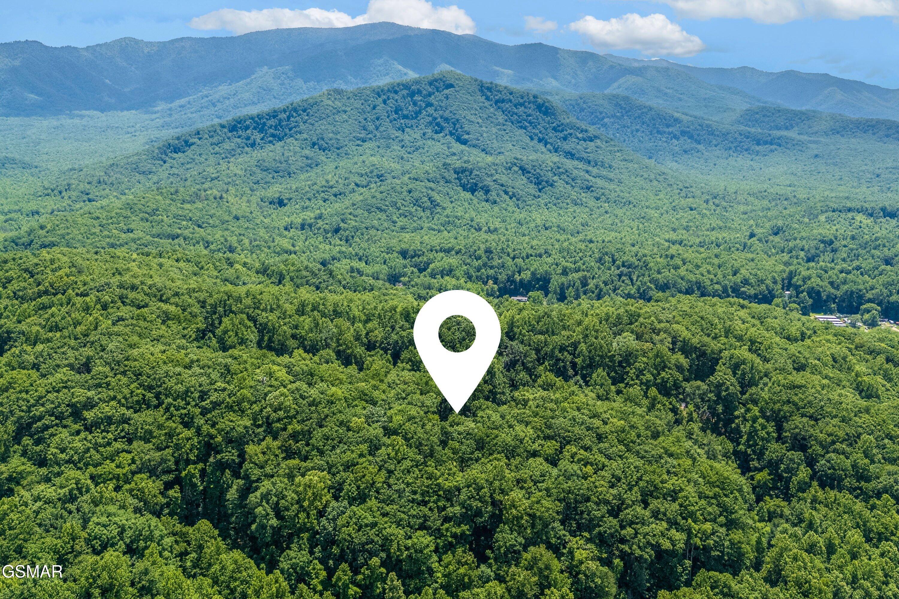 229 Sonshine Ridge Road Cosby TN 37722