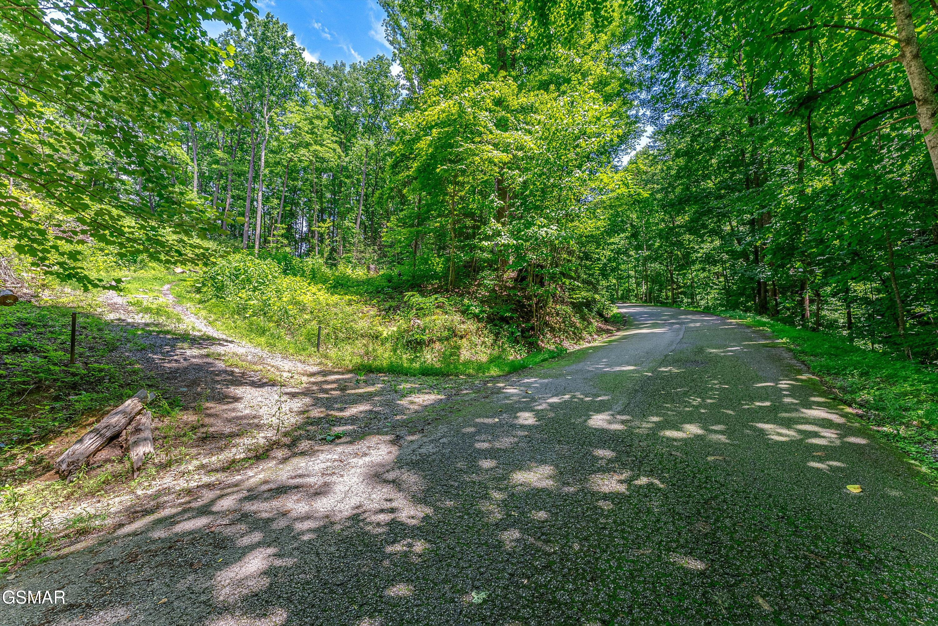 229 Sonshine Ridge Road Cosby TN 37722