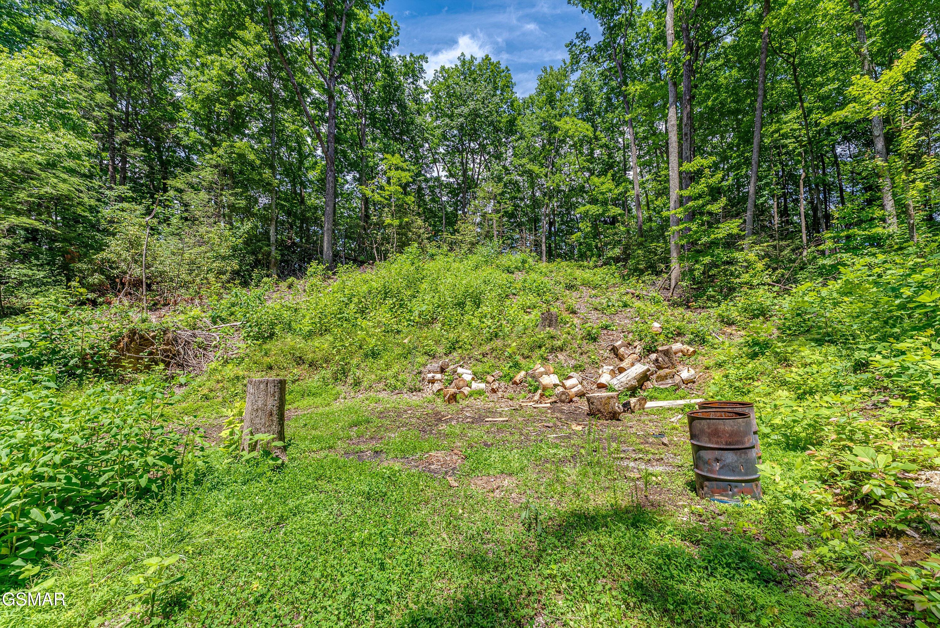 229 Sonshine Ridge Road Cosby TN 37722