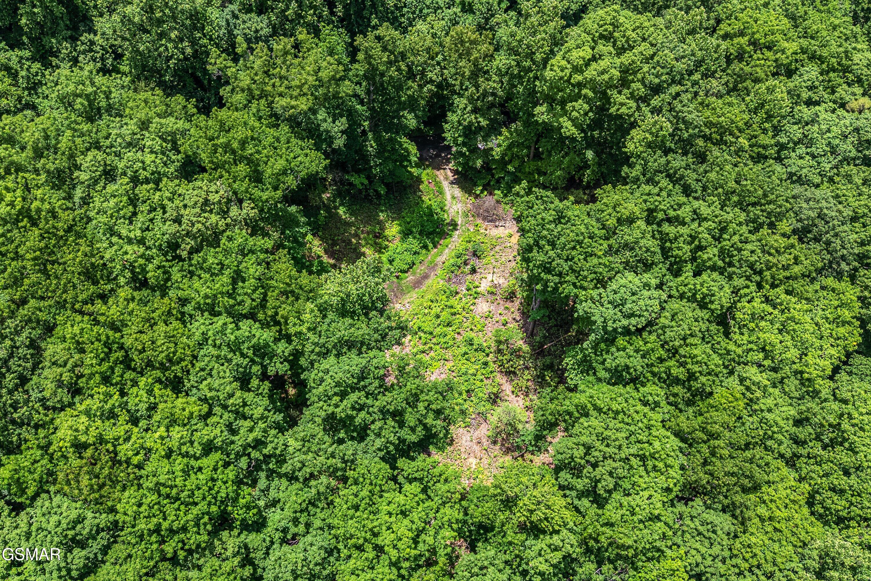 229 Sonshine Ridge Road Cosby TN 37722