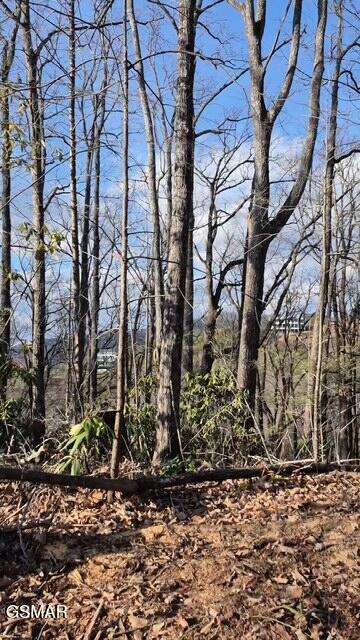 229 Sonshine Ridge Road Cosby TN 37722