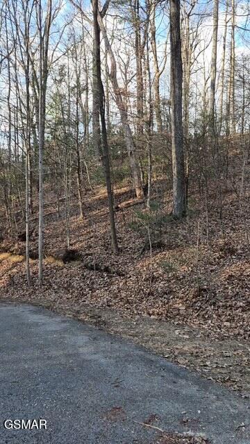 229 Sonshine Ridge Road Cosby TN 37722