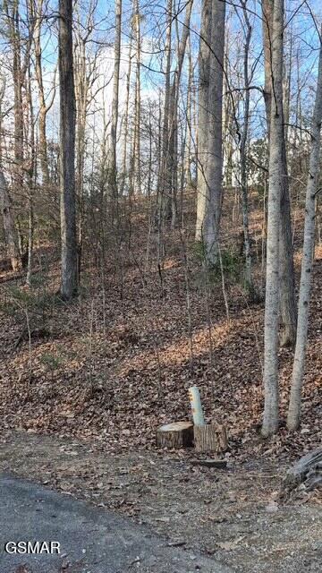 229 Sonshine Ridge Road Cosby TN 37722