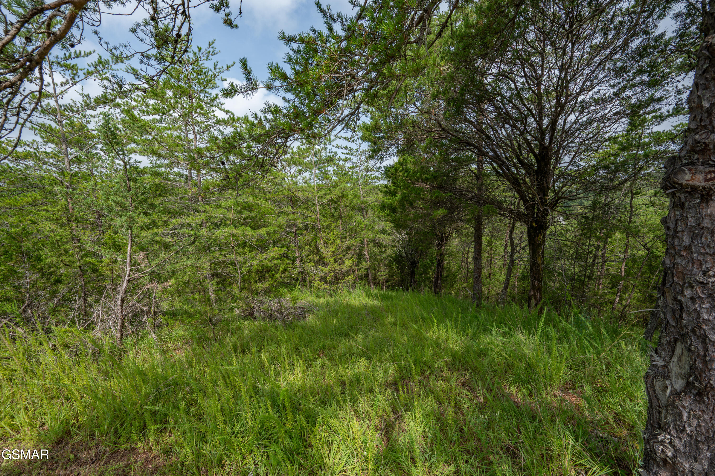 Lot 7 Parrotts Chapel Road Sevierville TN 37876