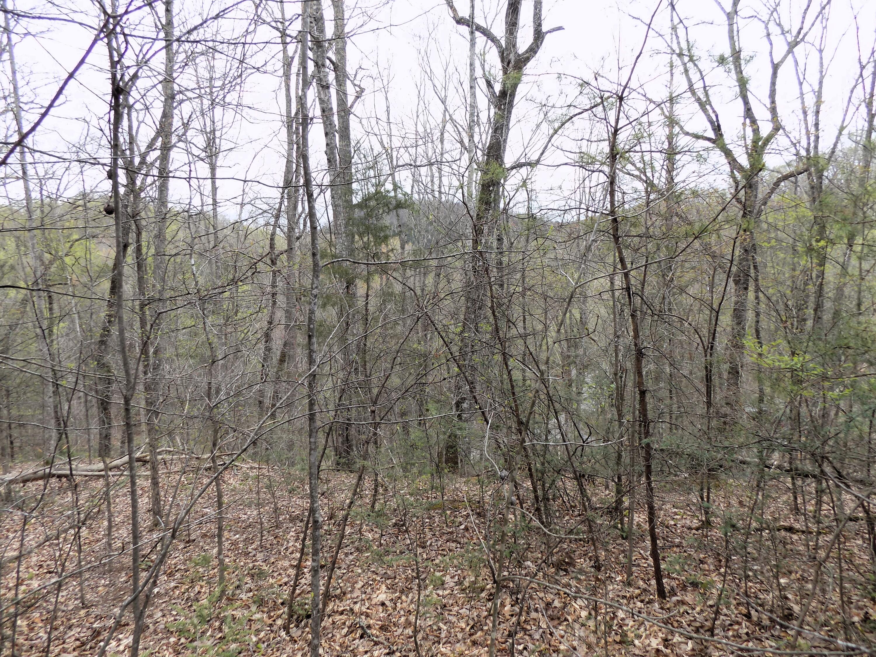 Par 001.08 Mountain Shadow Way Cosby TN 37722