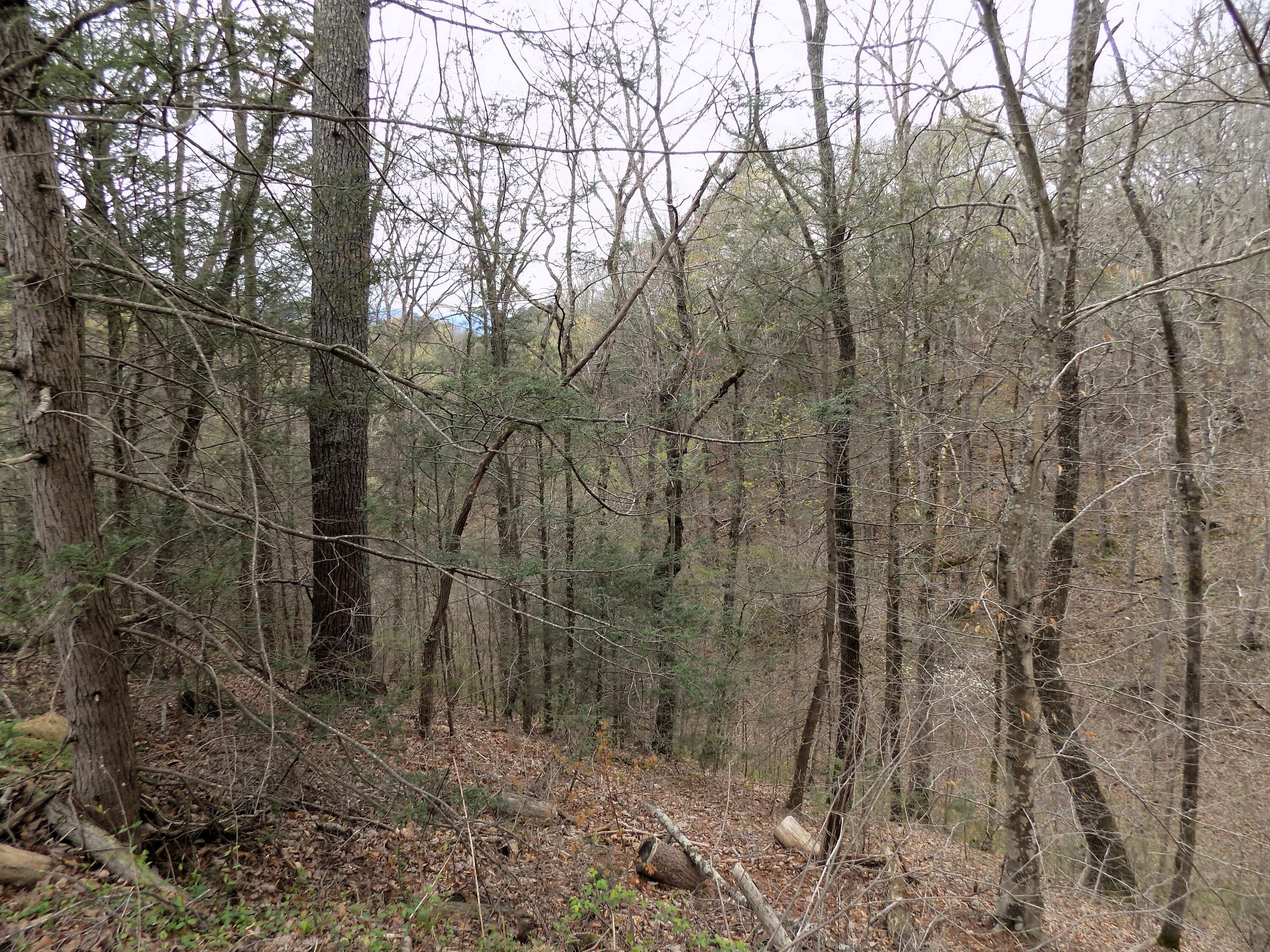 Par 001.08 Mountain Shadow Way Cosby TN 37722