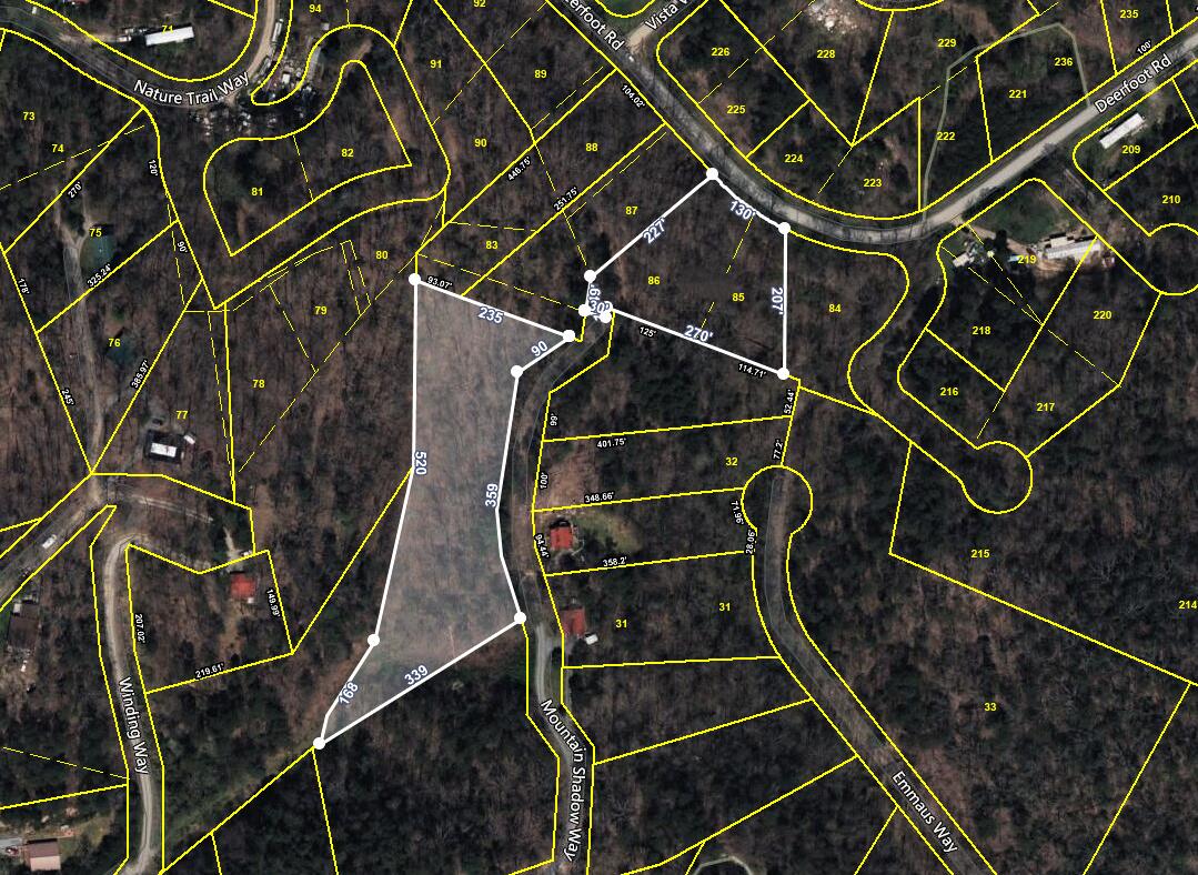 Par 001.08 Mountain Shadow Way Cosby TN 37722