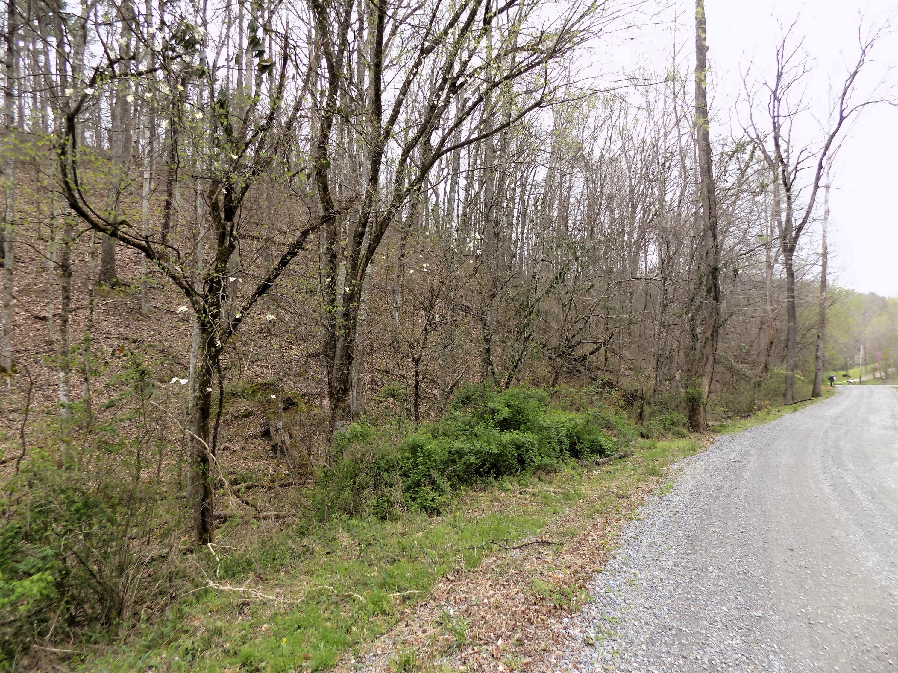 Par 001.08 Mountain Shadow Way Cosby TN 37722