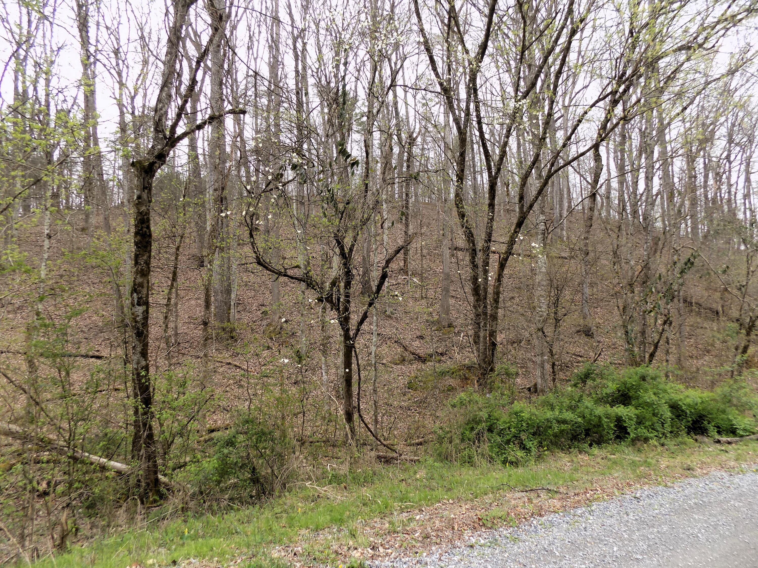 Par 001.08 Mountain Shadow Way Cosby TN 37722