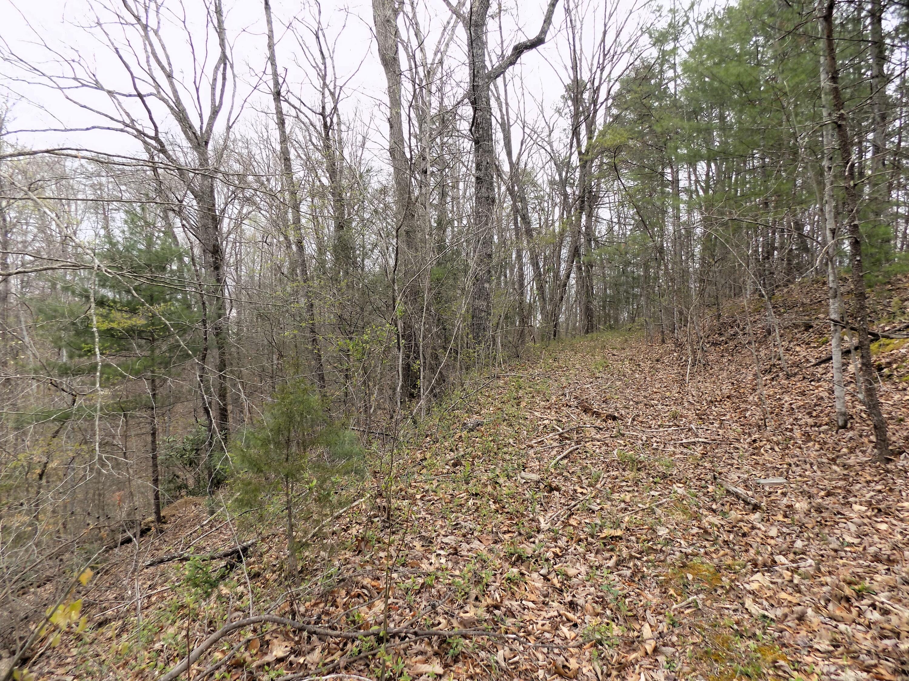 Par 001.08 Mountain Shadow Way Cosby TN 37722