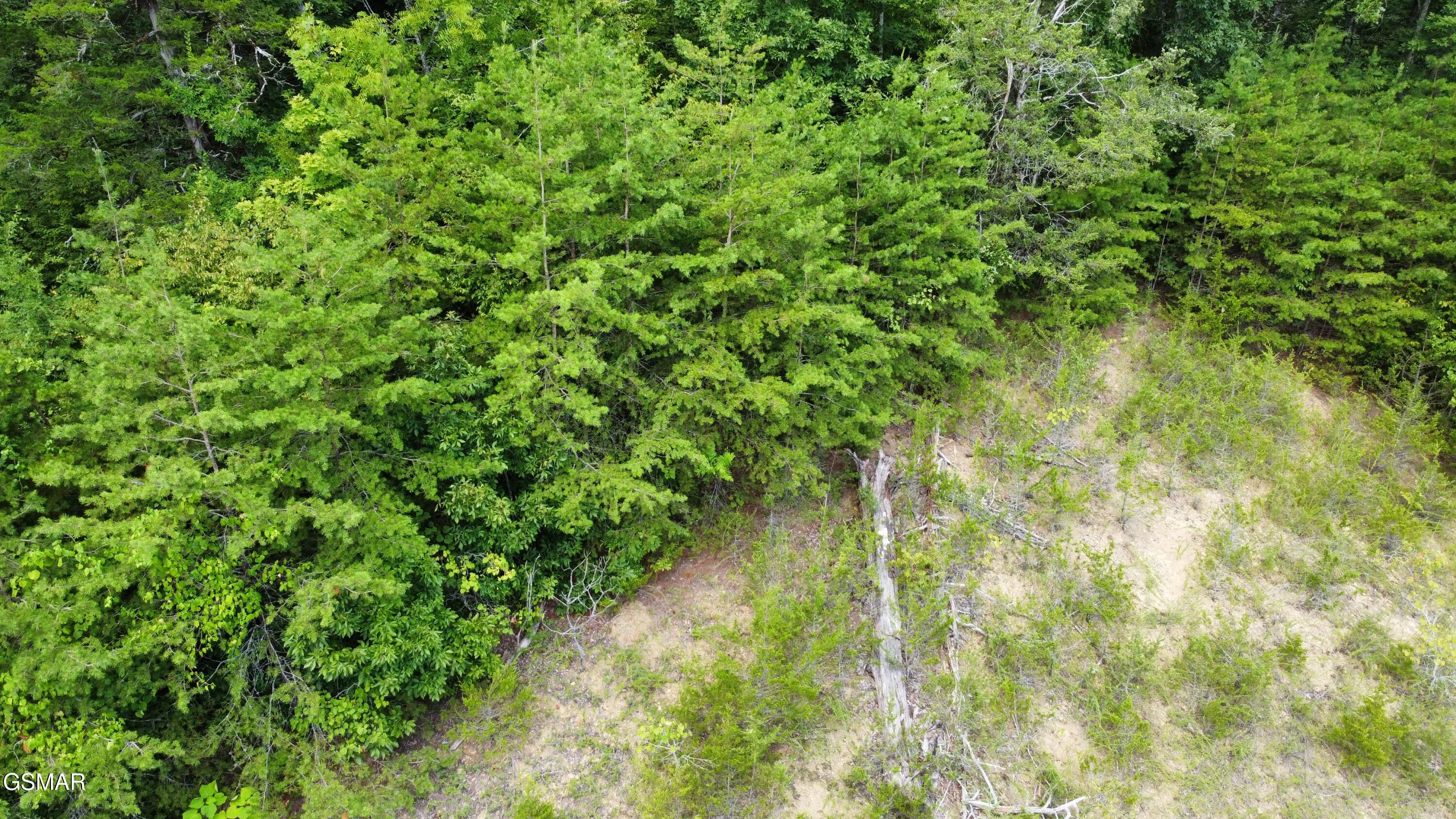 Lot 56 Emerald Pointe Boulevard Sevierville TN 37876