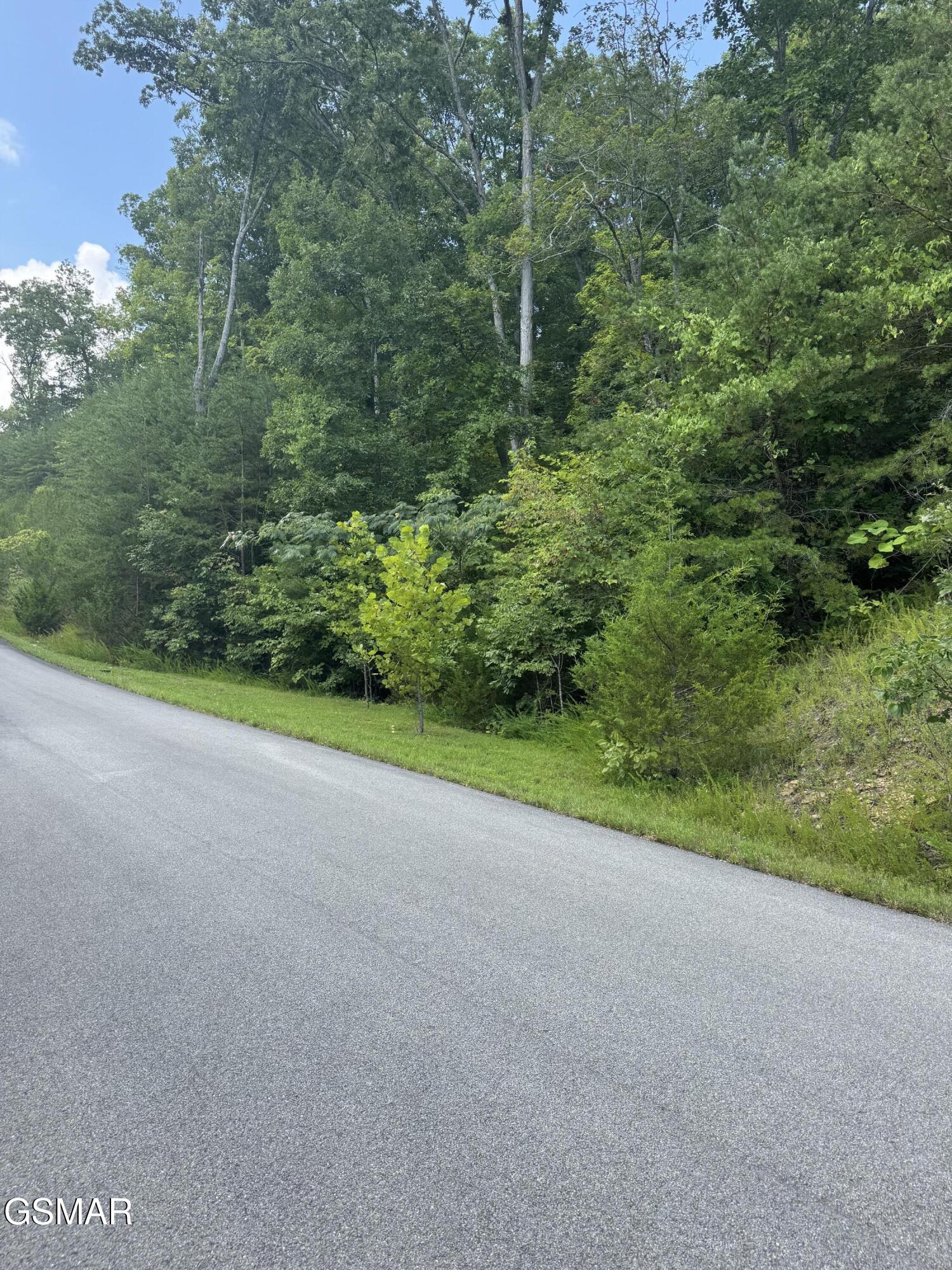 Lot 56 Emerald Pointe Boulevard Sevierville TN 37876
