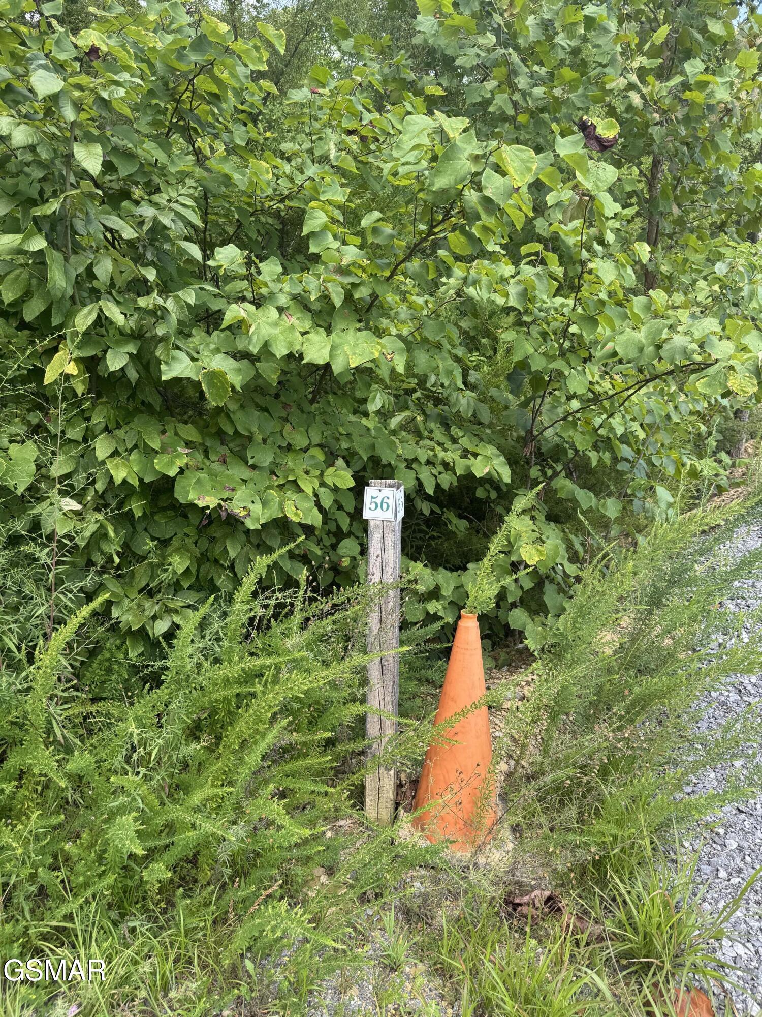 Lot 56 Emerald Pointe Boulevard Sevierville TN 37876