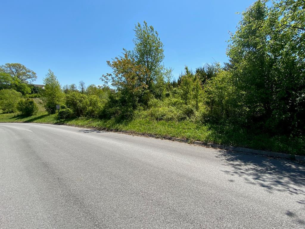 Lot 38 Broad River Lane Sevierville TN 37876