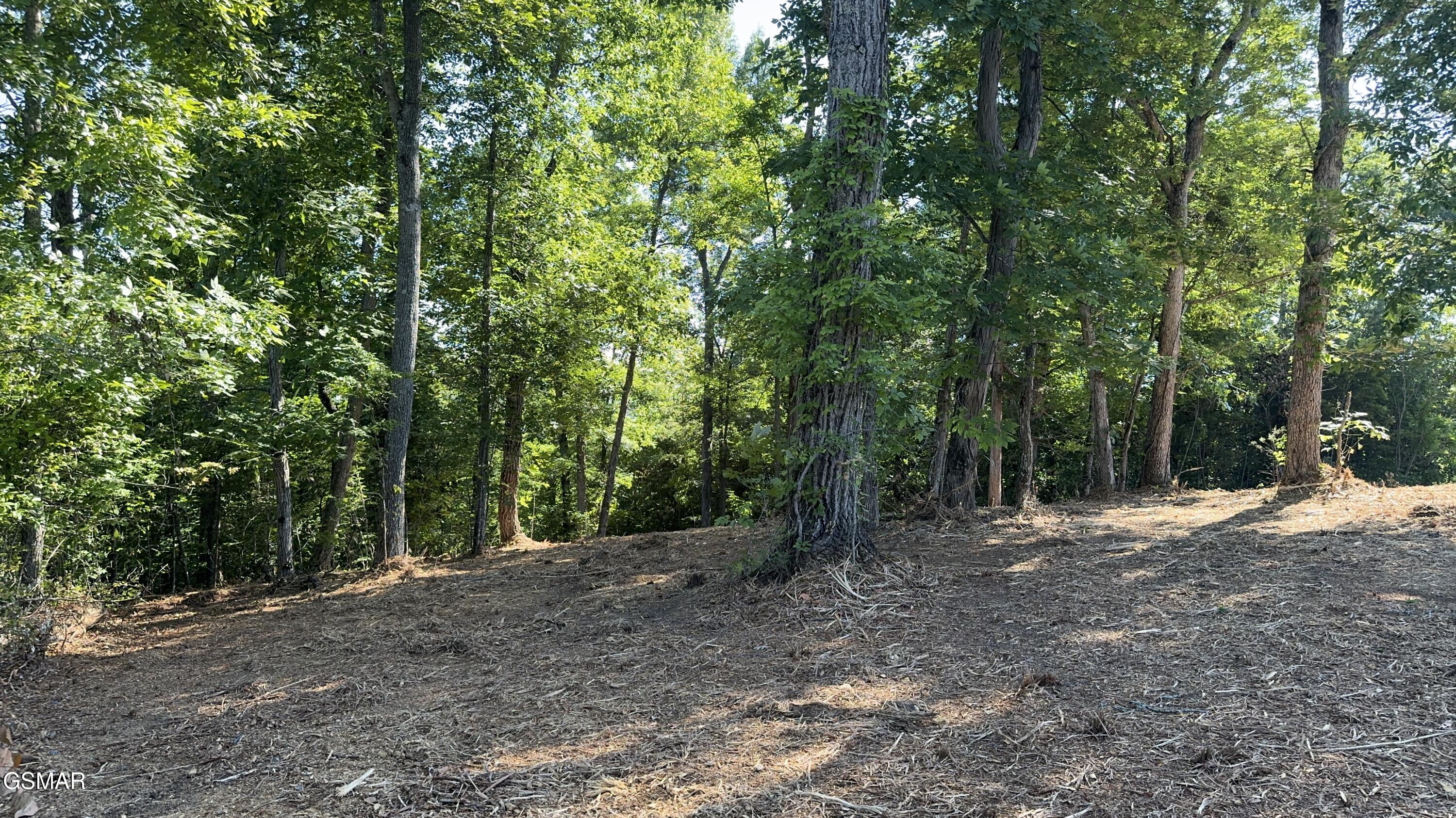 Lot 13 Rupert Drive Dandridge TN 37725