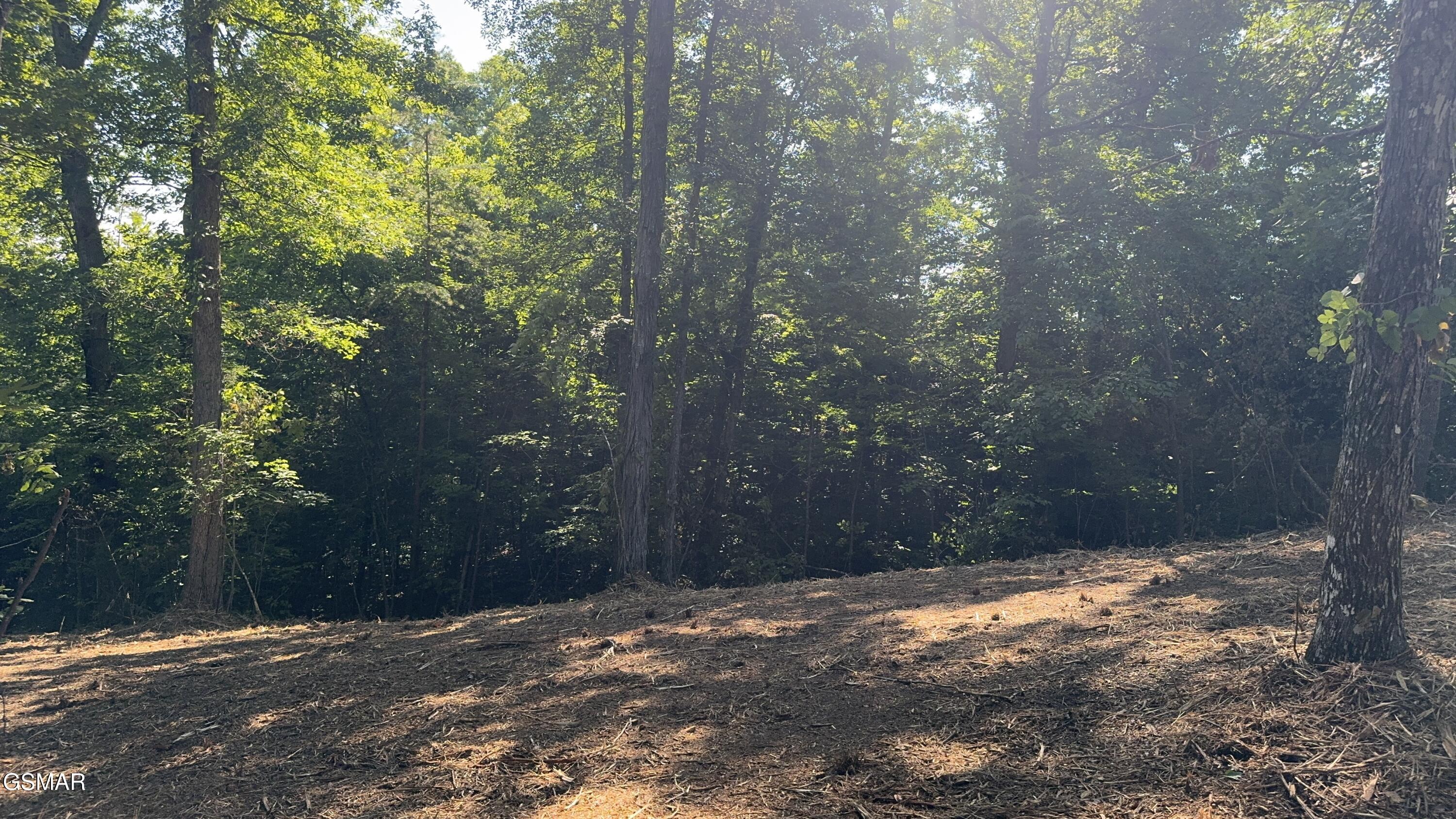Lot 13 Rupert Drive Dandridge TN 37725