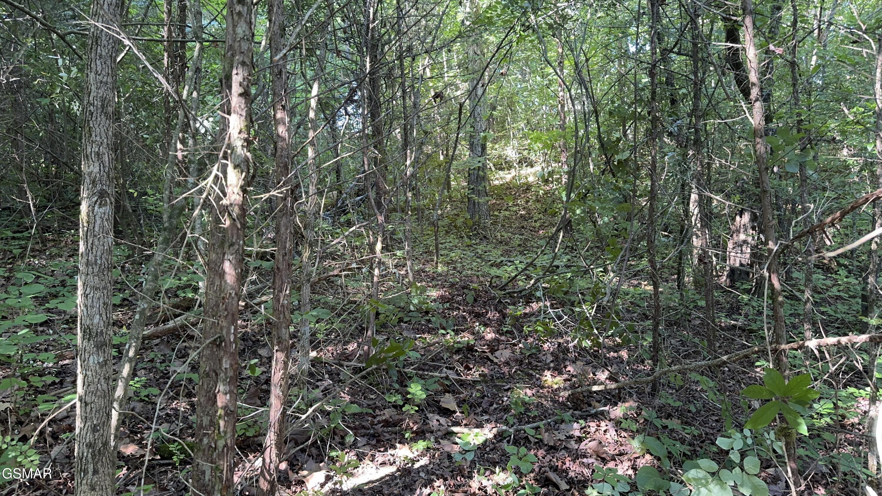 Lot 13 Rupert Drive Dandridge TN 37725