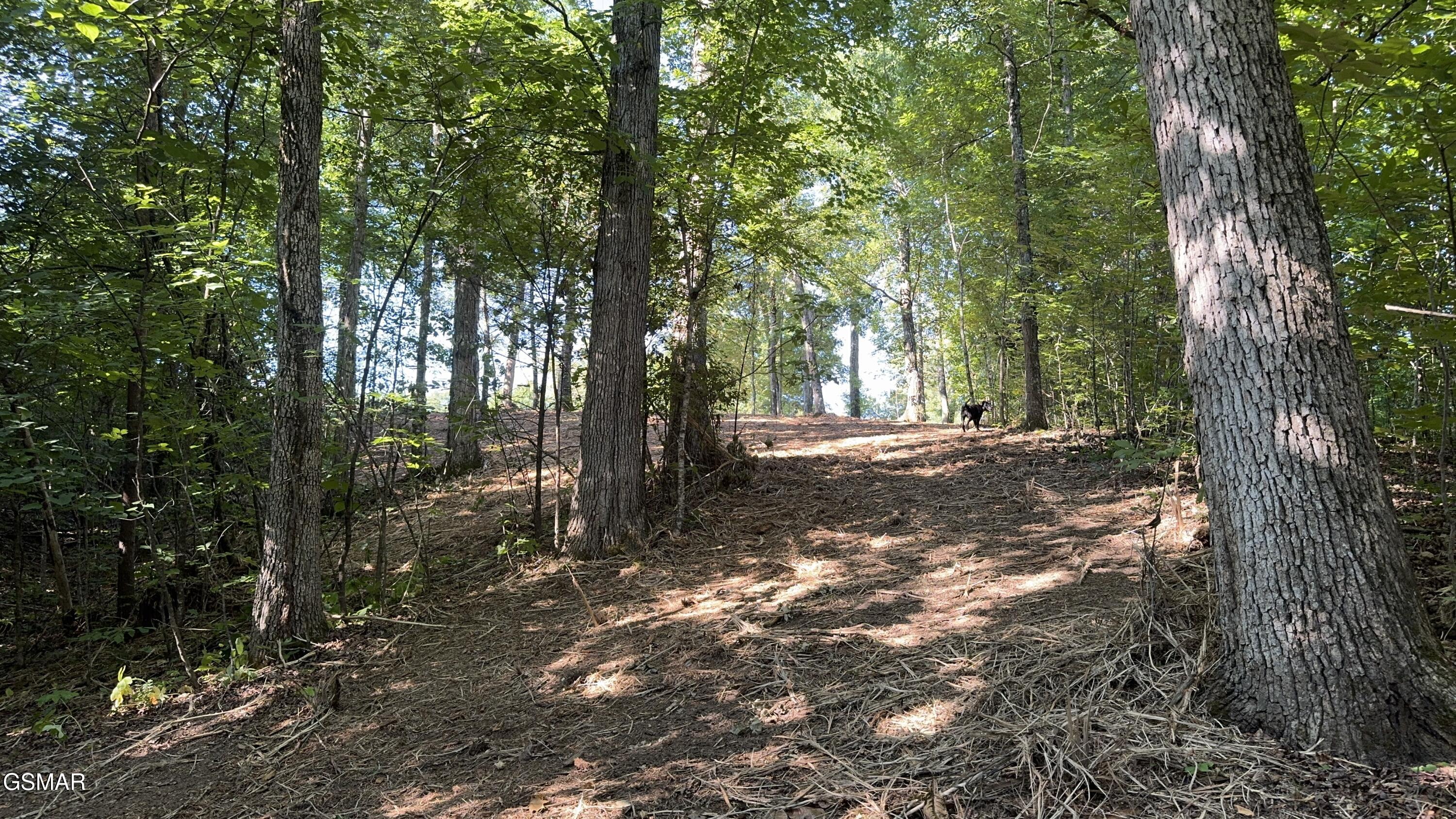 Lot 13 Rupert Drive Dandridge TN 37725