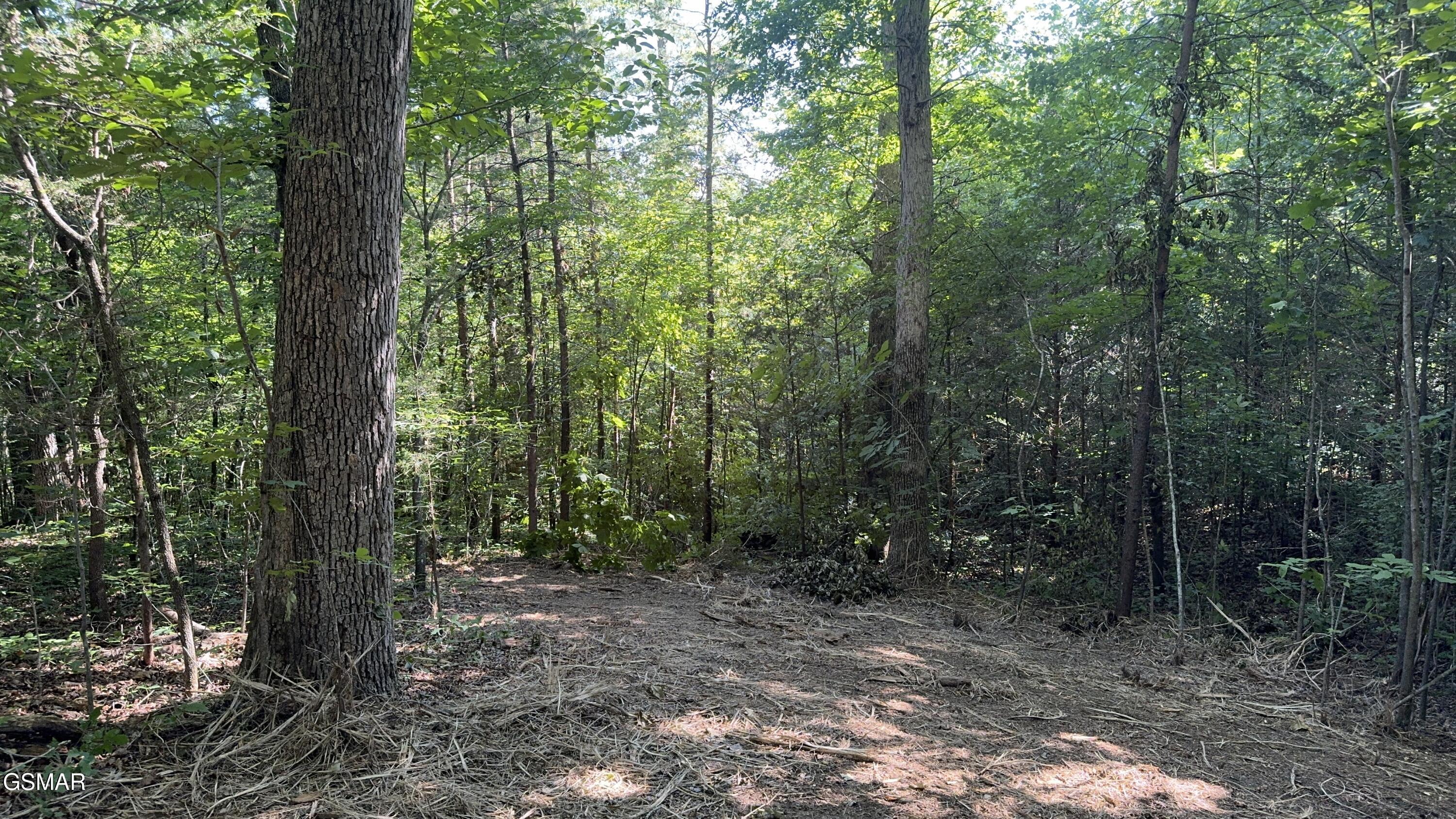 Lot 13 Rupert Drive Dandridge TN 37725