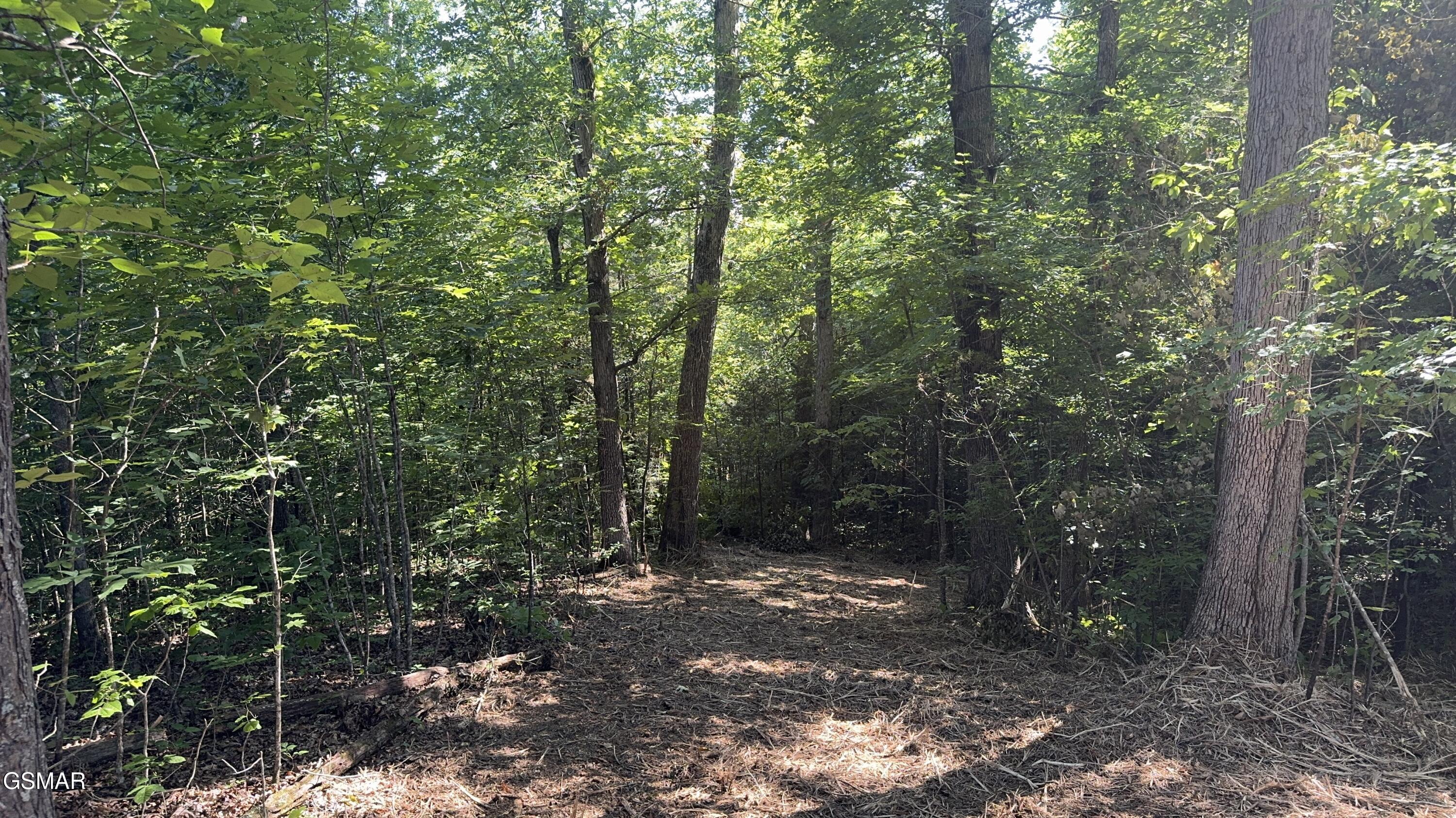 Lot 13 Rupert Drive Dandridge TN 37725