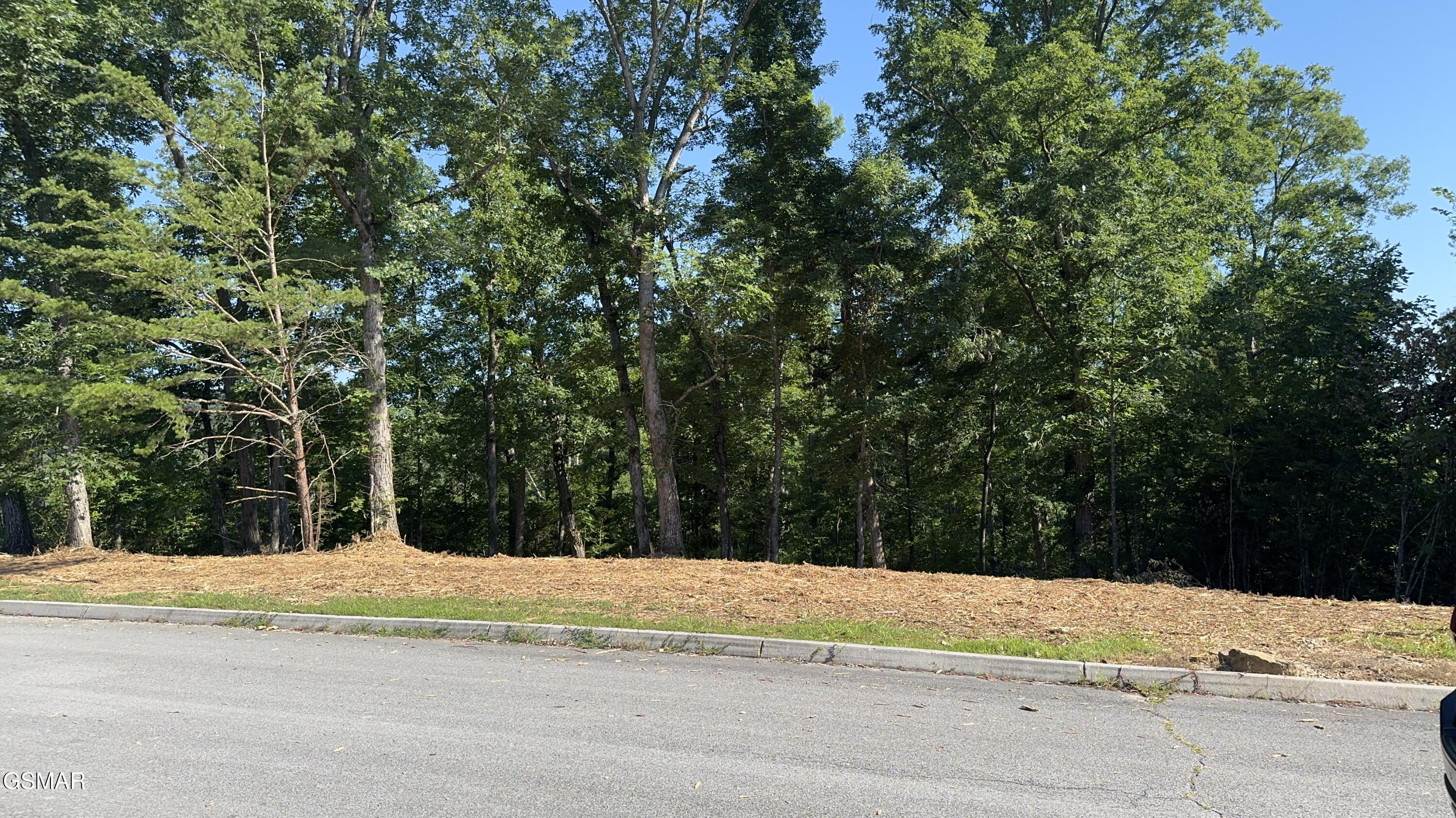 Lot 13 Rupert Drive Dandridge TN 37725