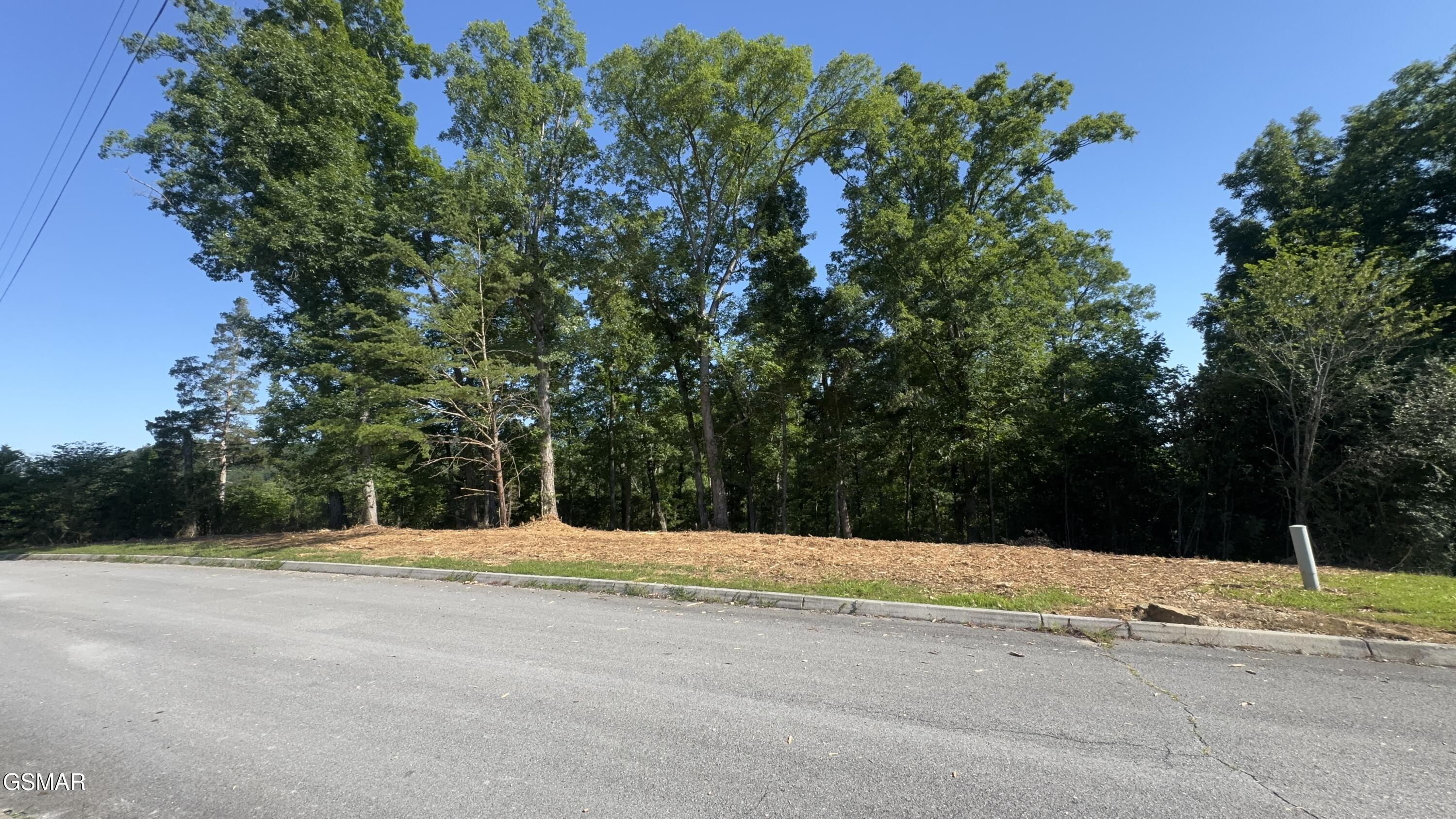 Lot 13 Rupert Drive Dandridge TN 37725