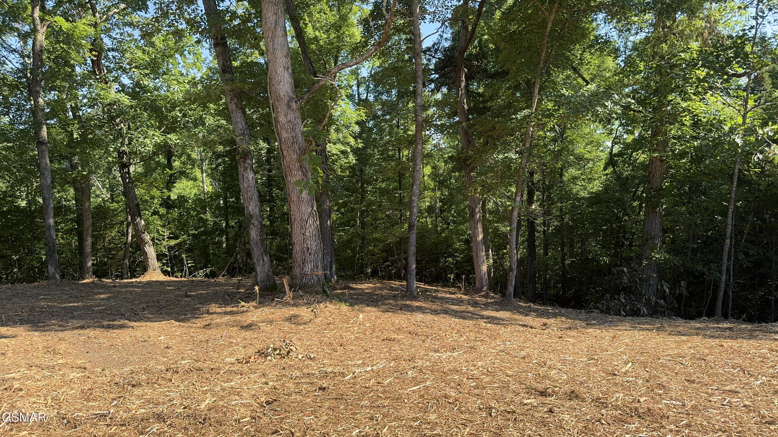 Lot 13 Rupert Drive Dandridge TN 37725