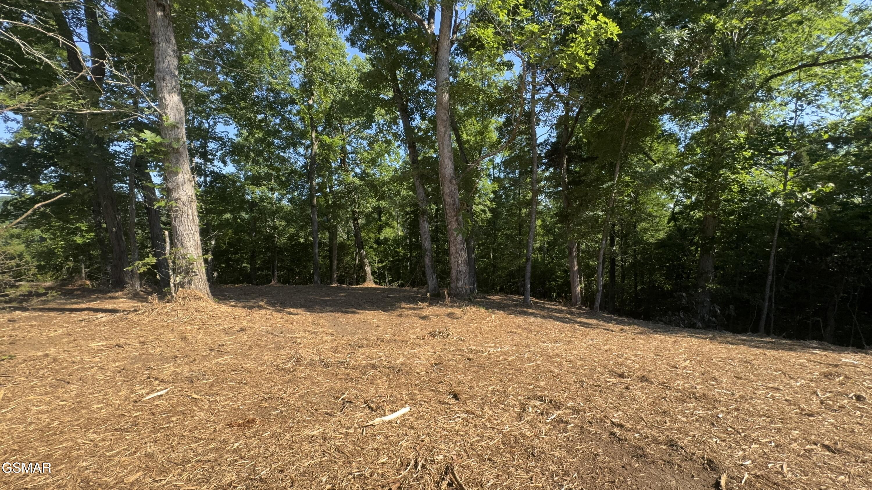 Lot 13 Rupert Drive Dandridge TN 37725