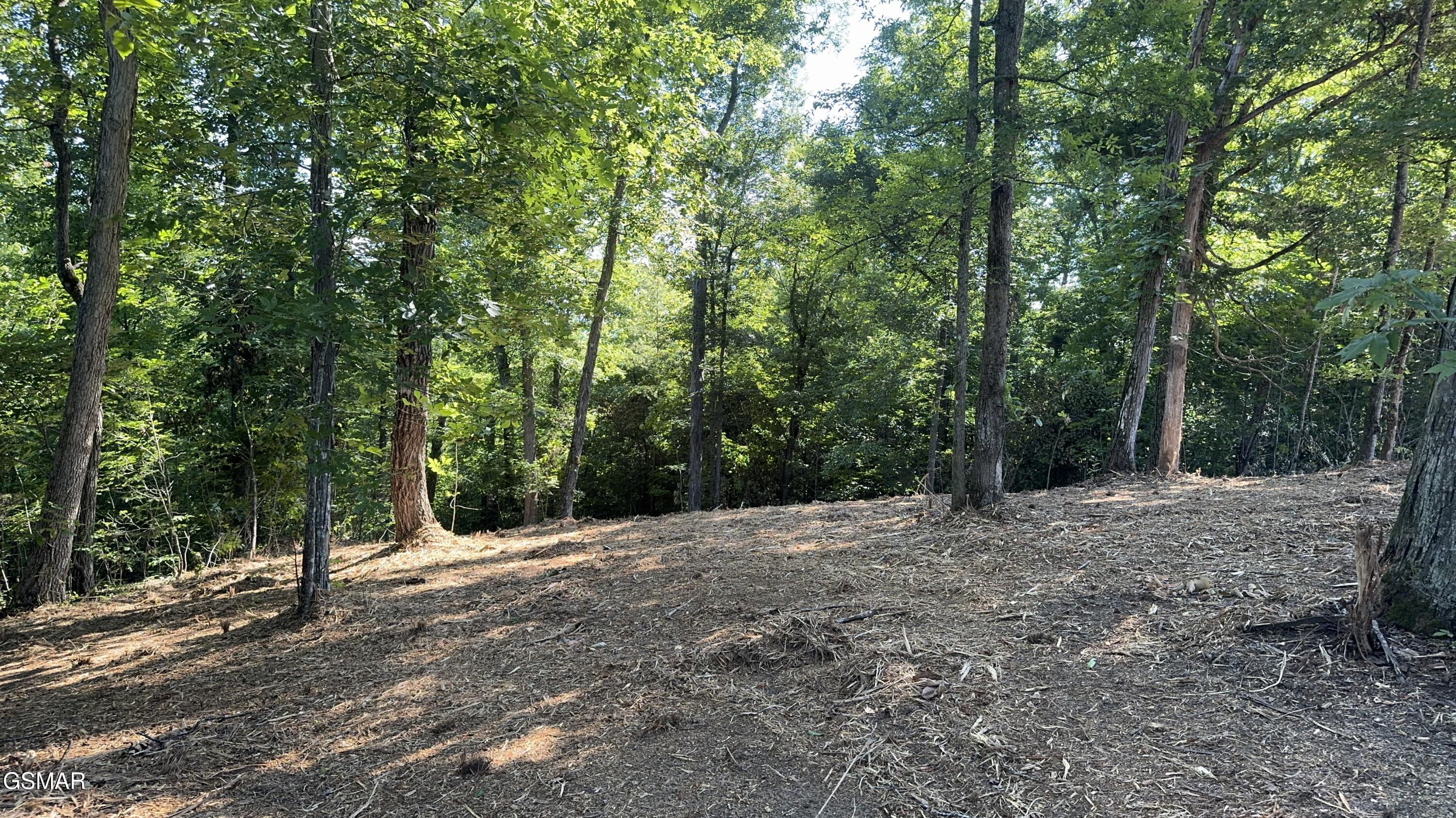 Lot 13 Rupert Drive Dandridge TN 37725