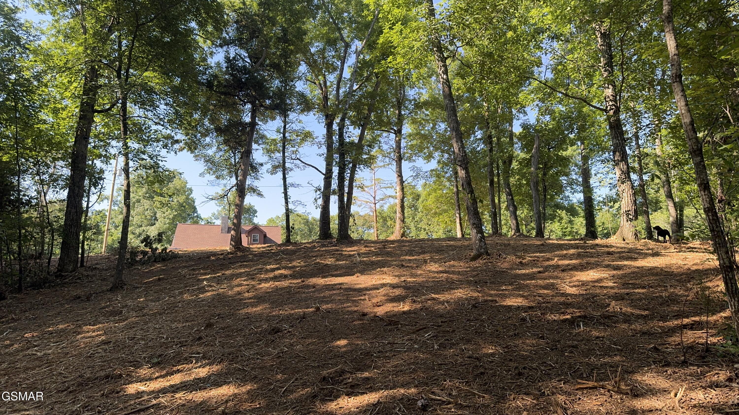 Lot 13 Rupert Drive Dandridge TN 37725