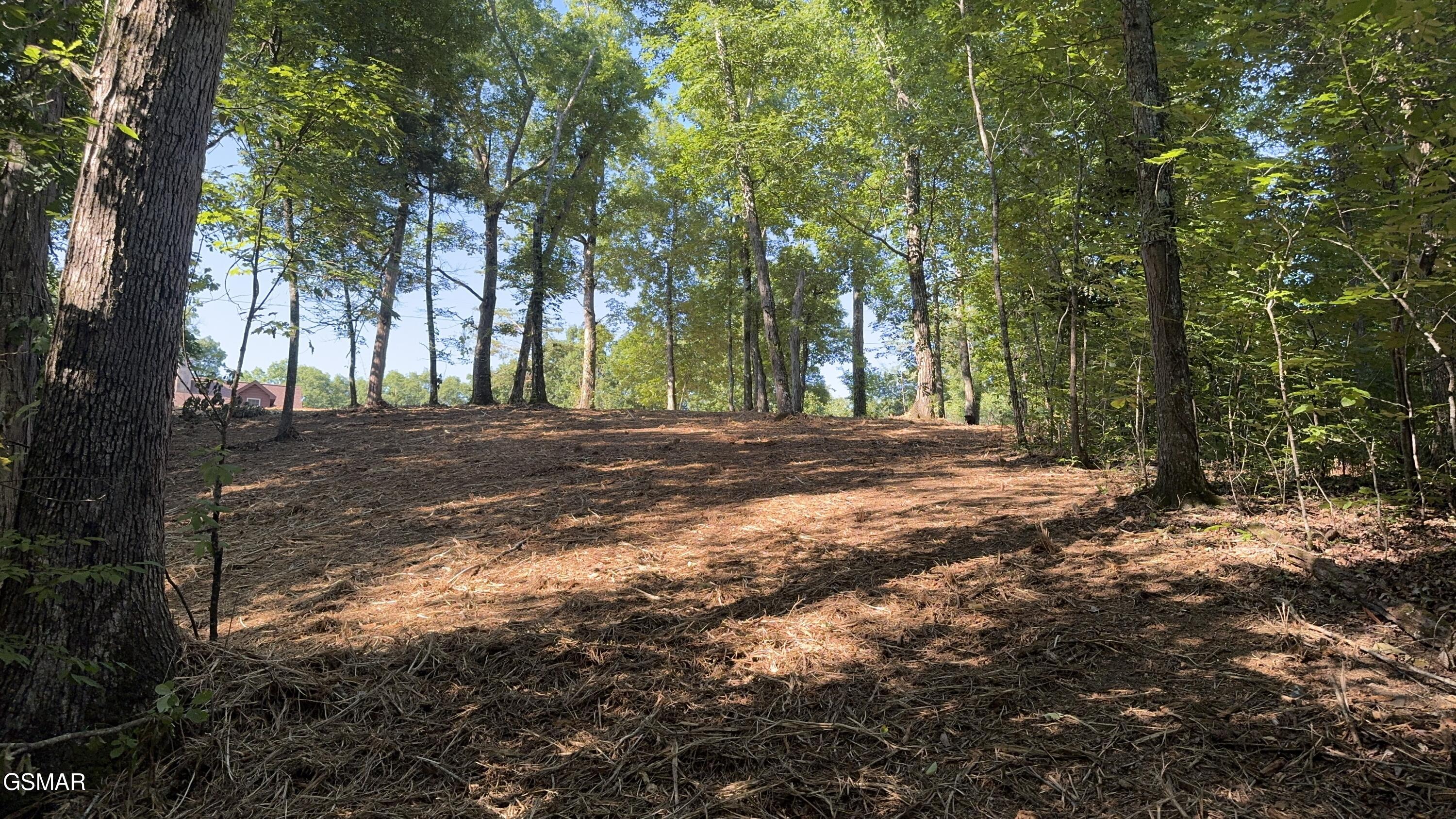 Lot 13 Rupert Drive Dandridge TN 37725