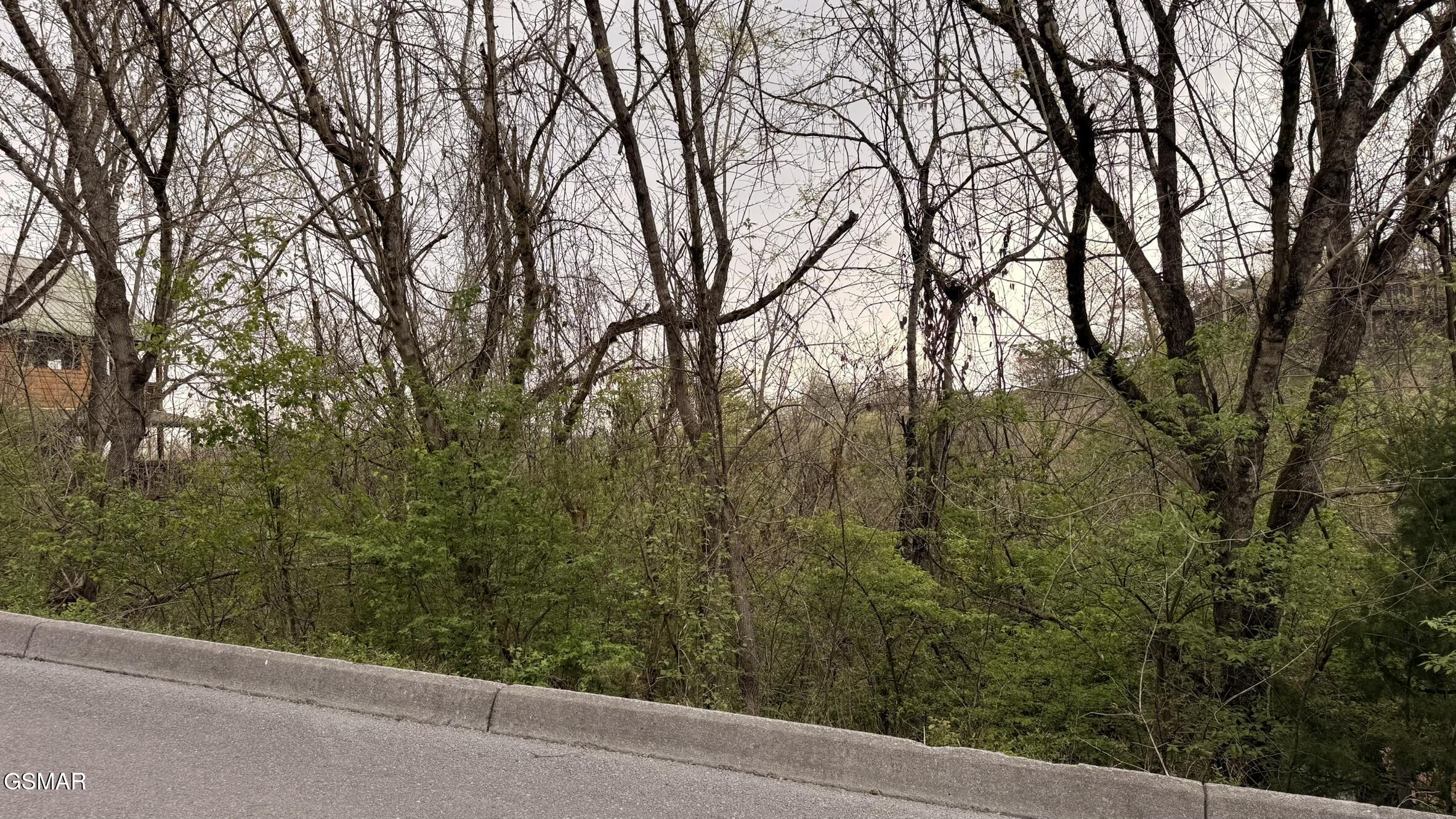 Lot 4 Hideaway Ridge Circle Sevierville TN 37862