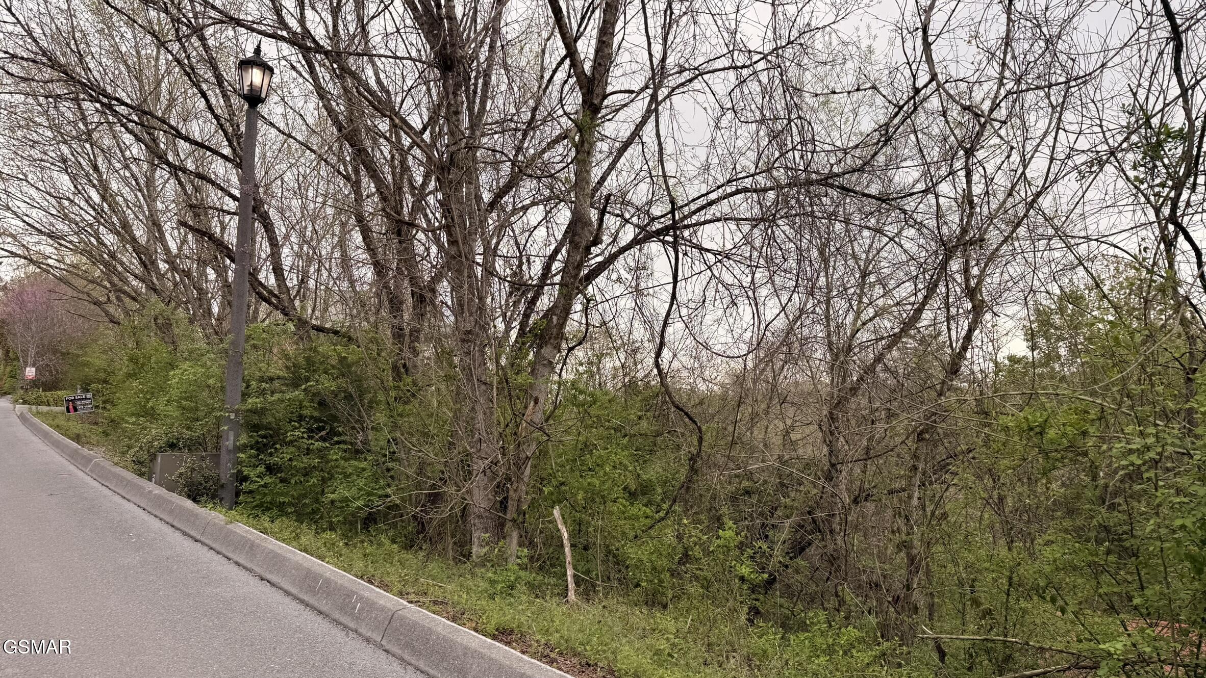 Lot 4 Hideaway Ridge Circle Sevierville TN 37862