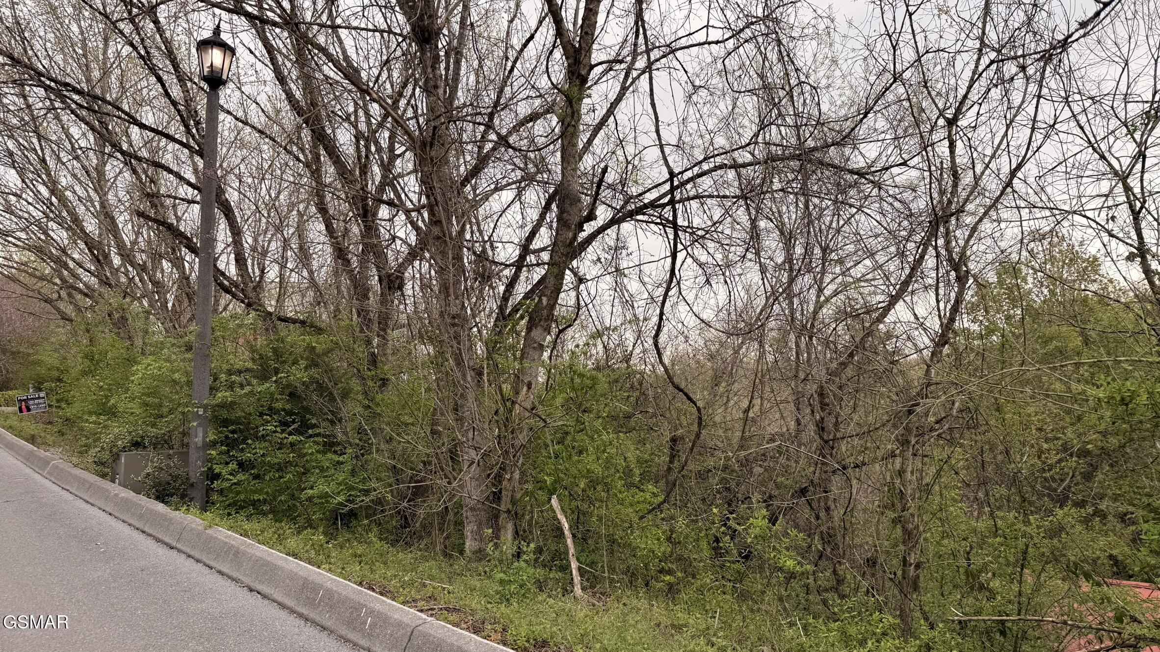 Lot 4 Hideaway Ridge Circle Sevierville TN 37862