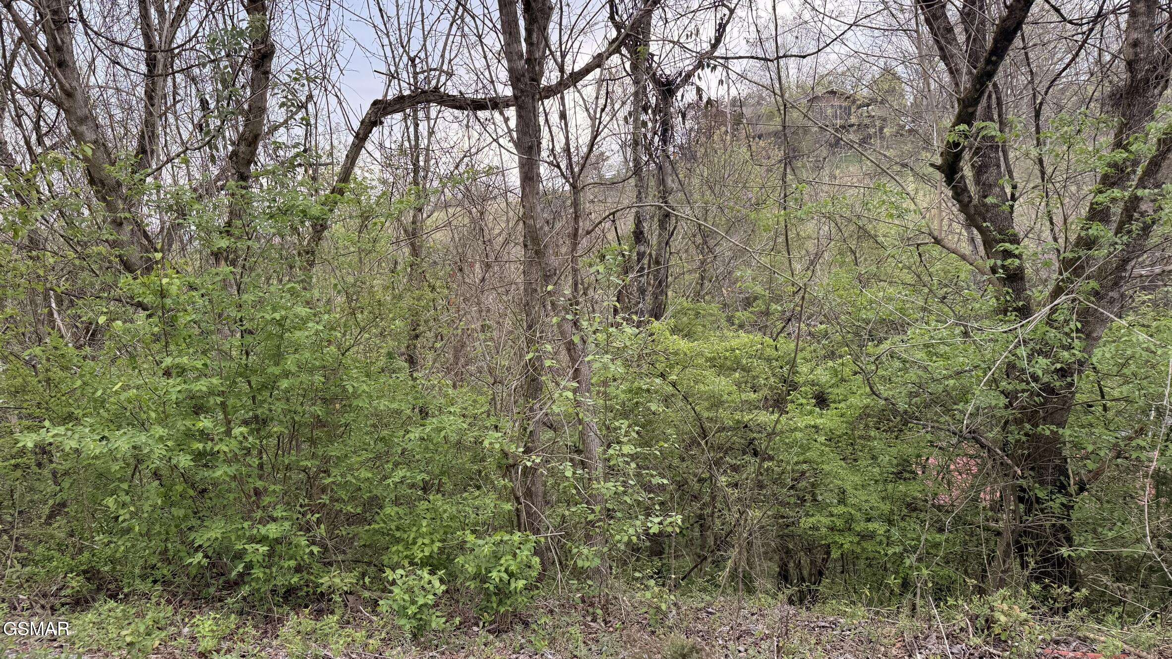 Lot 4 Hideaway Ridge Circle Sevierville TN 37862