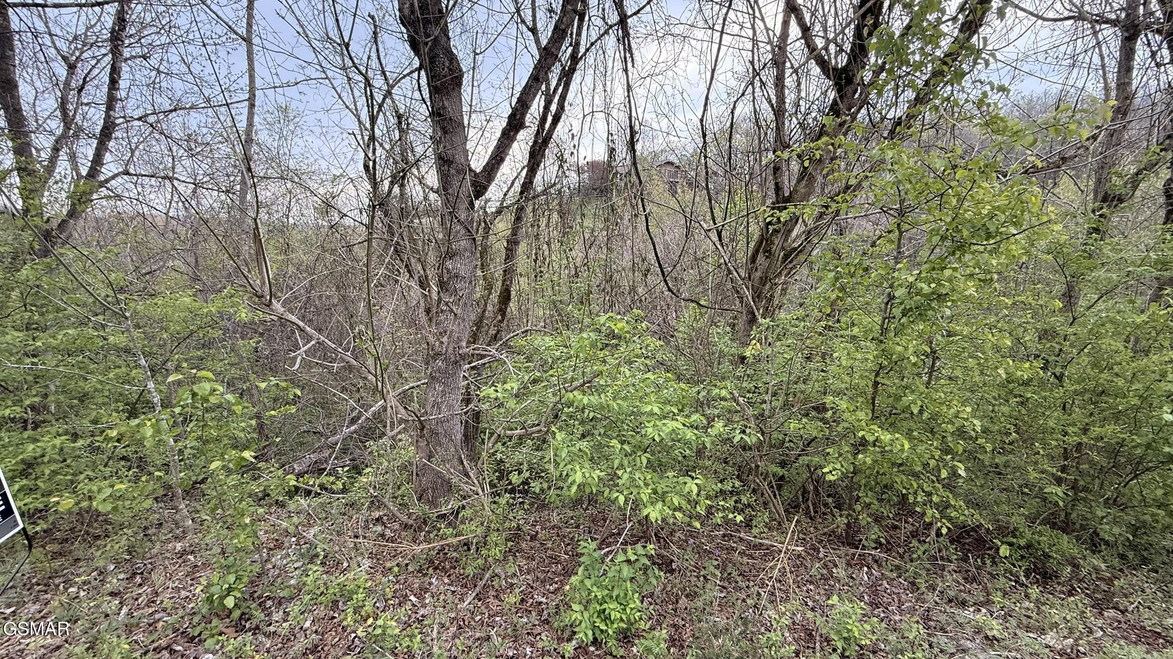 Lot 4 Hideaway Ridge Circle Sevierville TN 37862