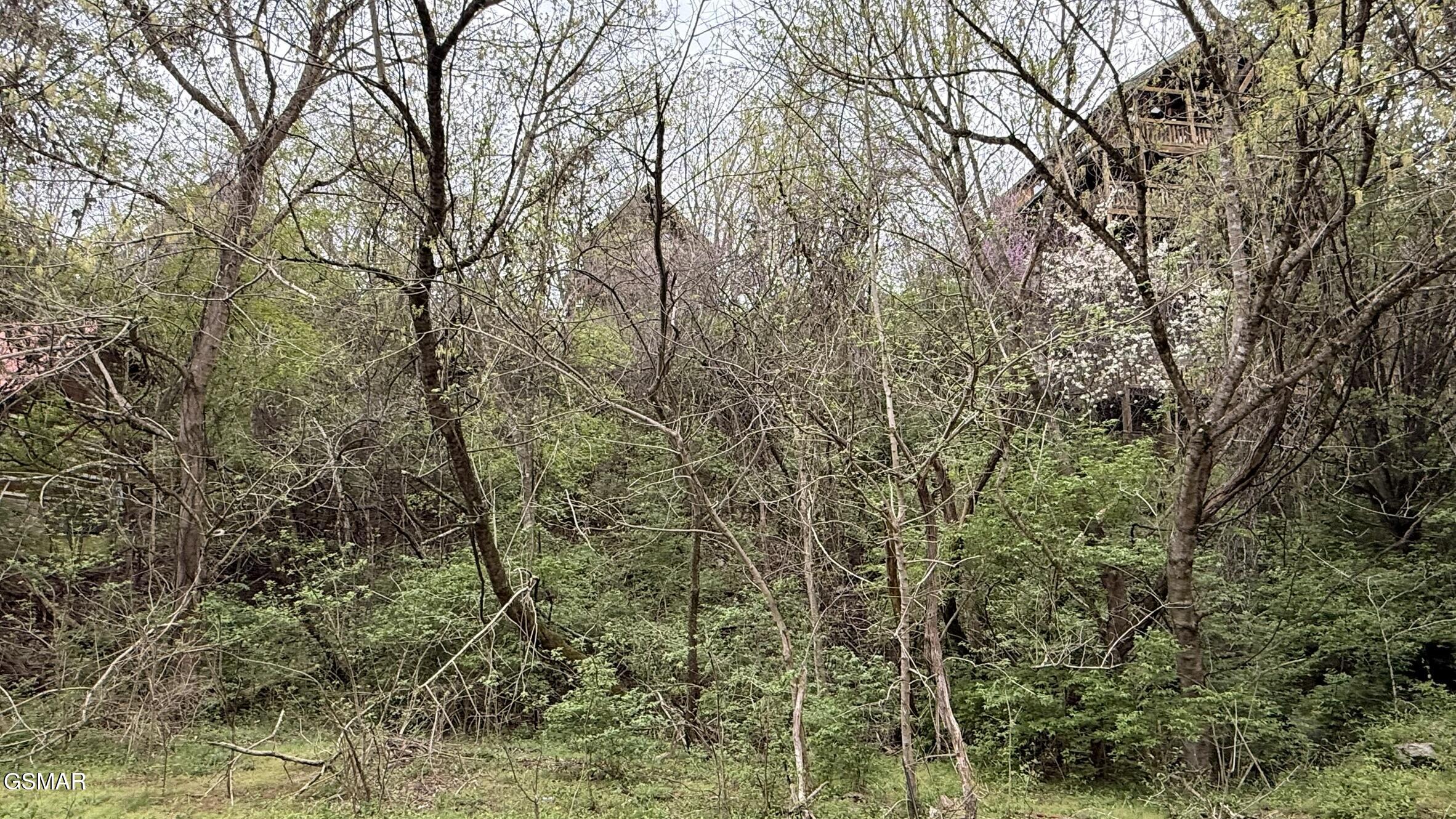 Lot 4 Hideaway Ridge Circle Sevierville TN 37862