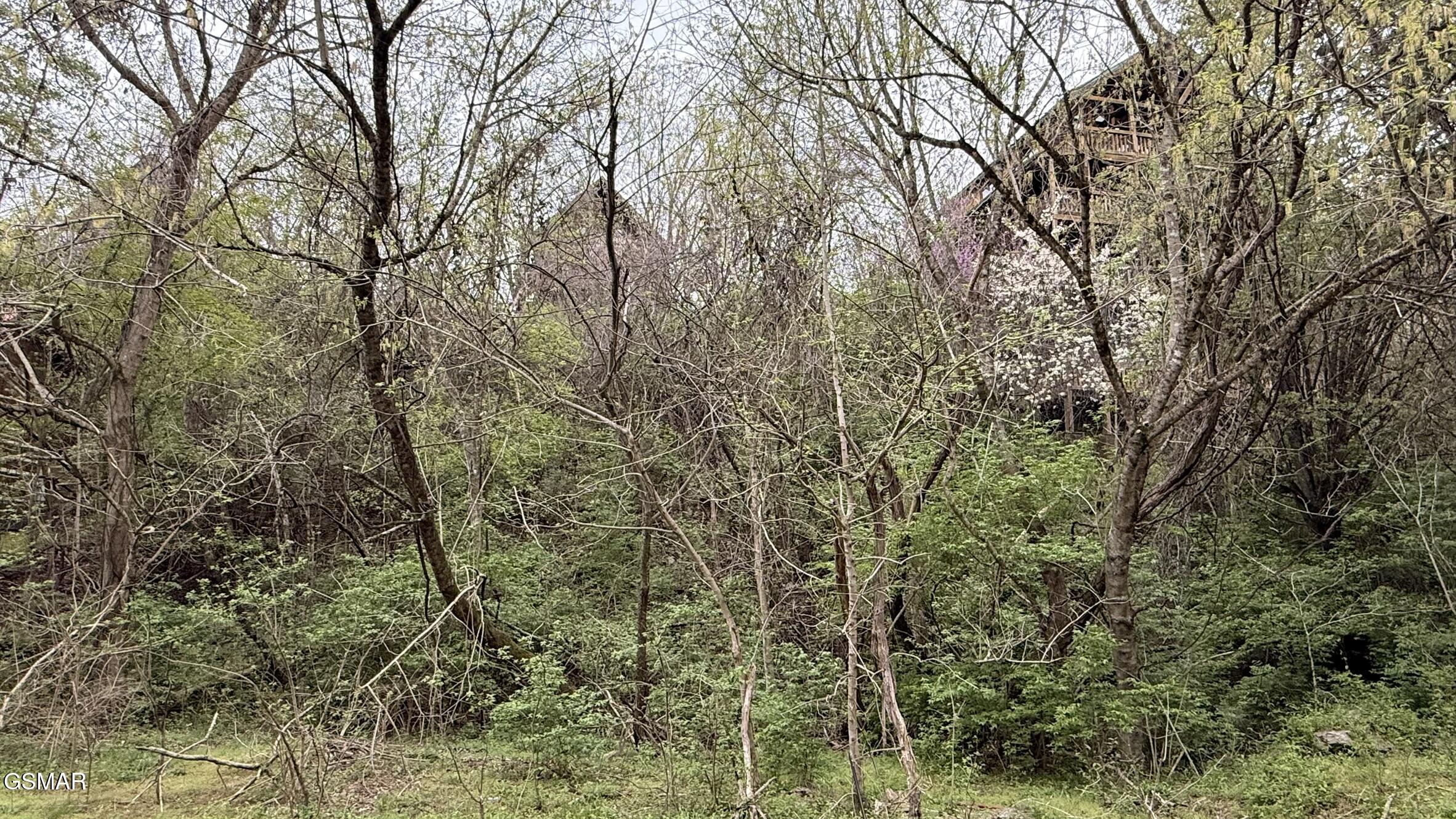 Lot 4 Hideaway Ridge Circle Sevierville TN 37862