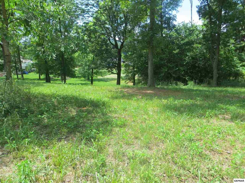 Chances Ridge Drive Sevierville TN 37876