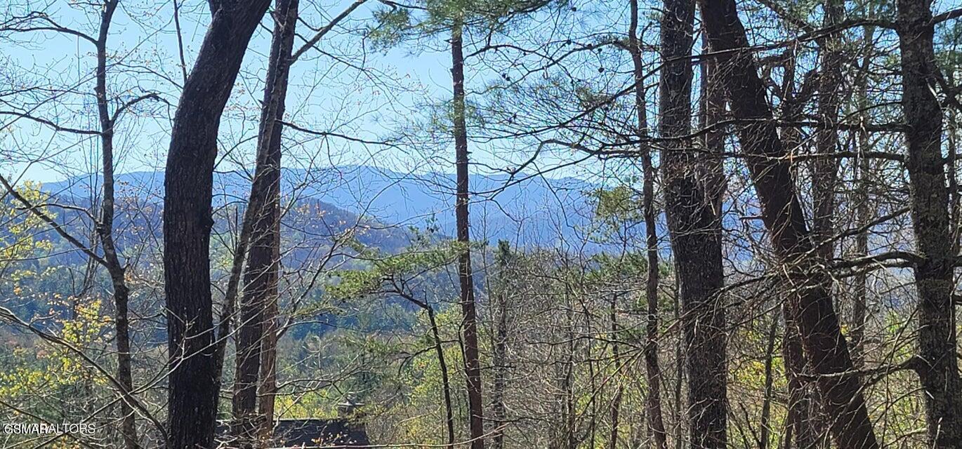 - Chinquapin Drive Sevierville TN 37862